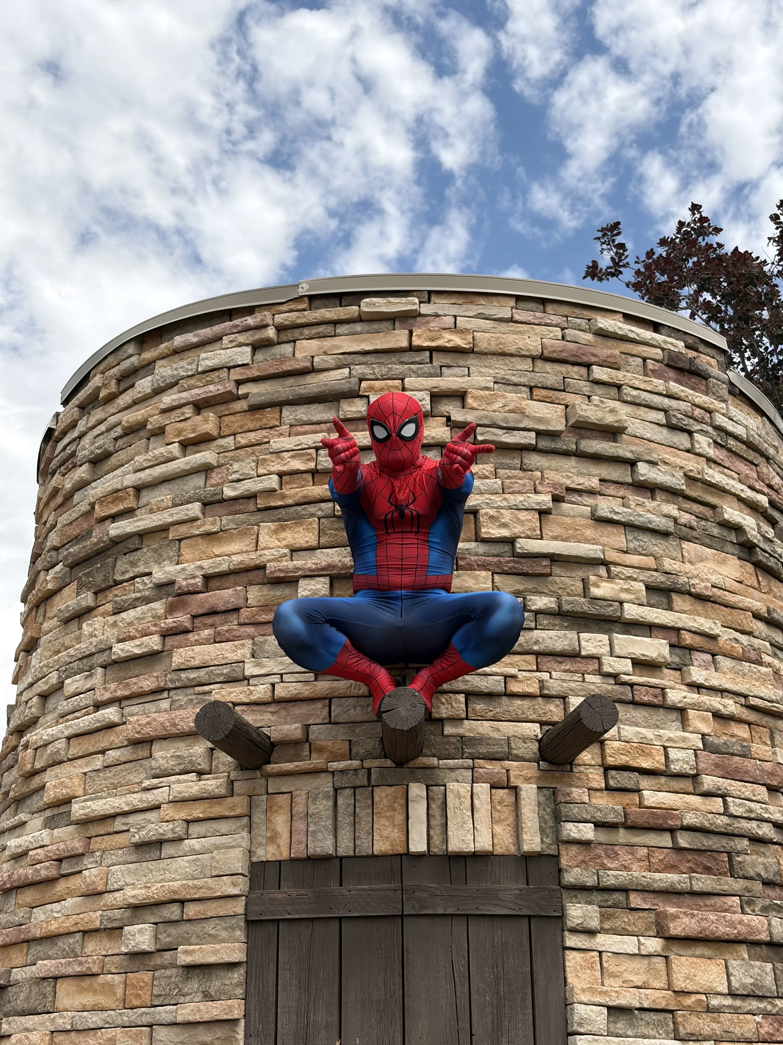 Spiderman Craft Party with LIVE SPIDERMAN- 2 hours