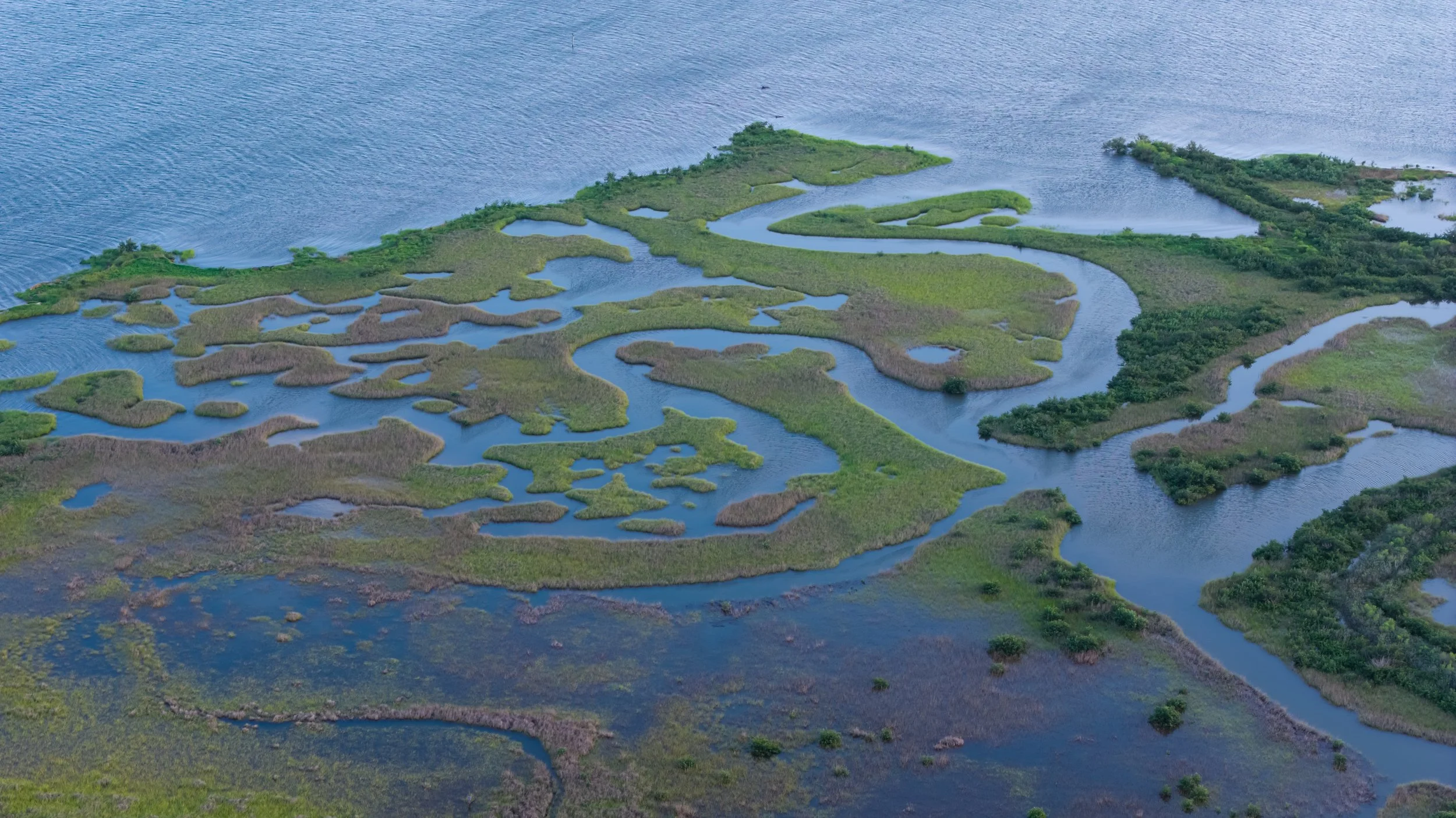 DJI_20260723071541_0216_D.jpg
