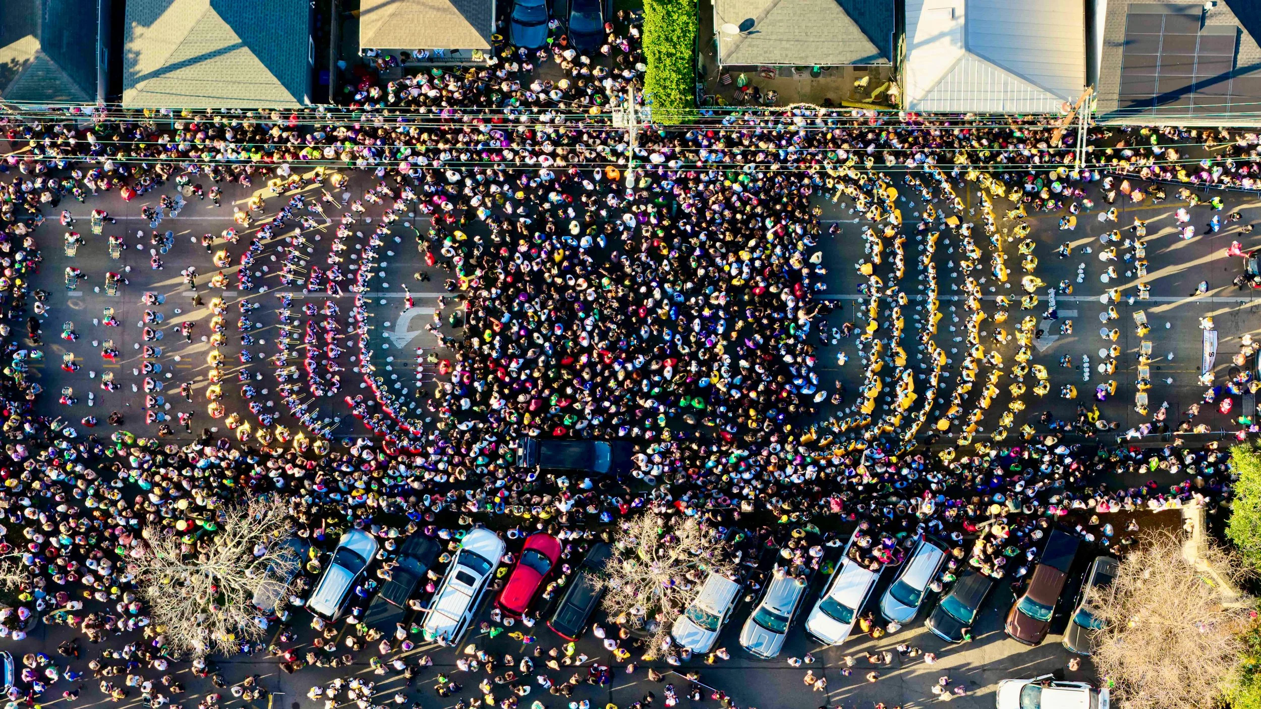 DJI_20260215164428_0064_D.jpg