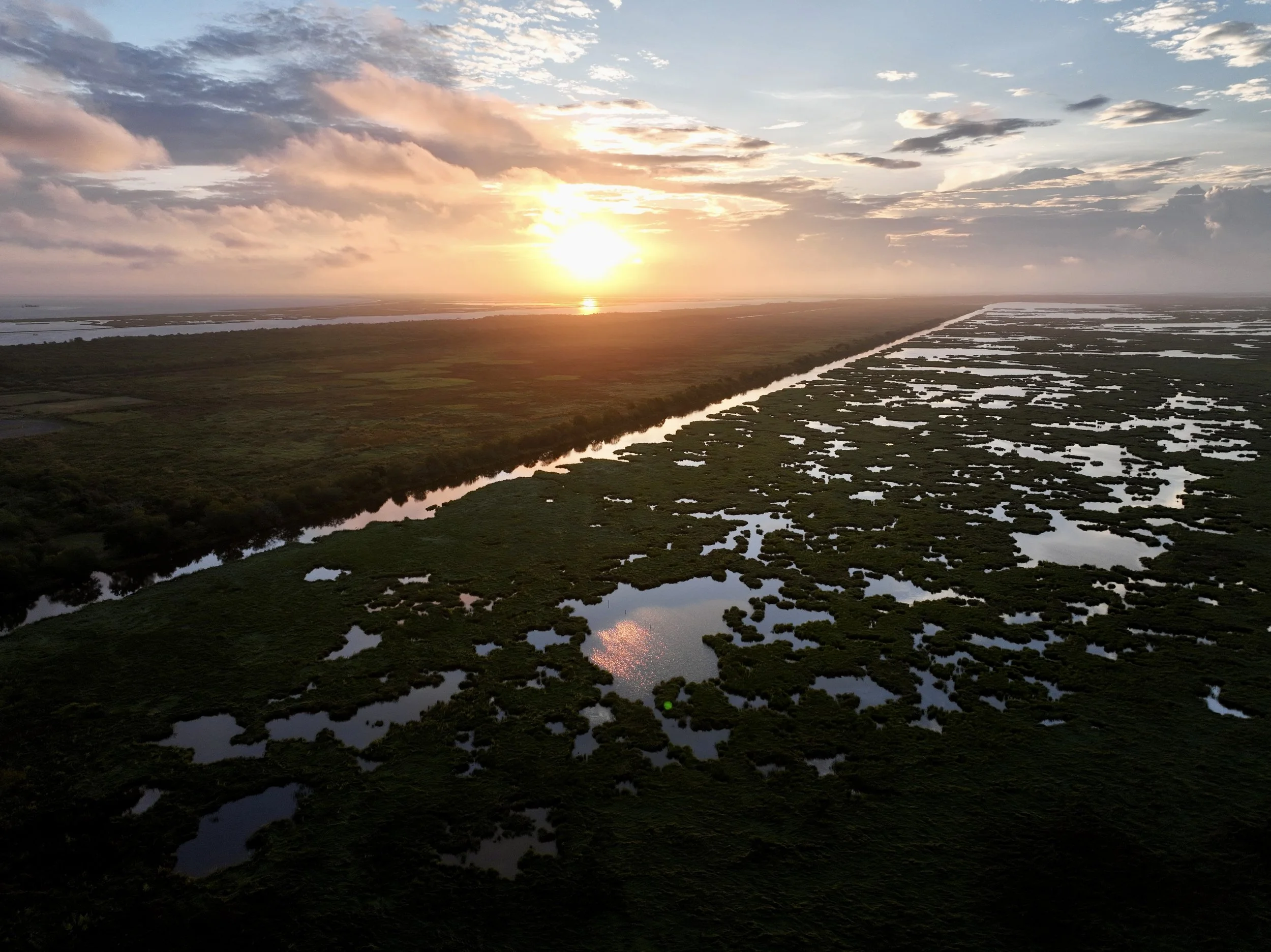 DJI_0642.jpg