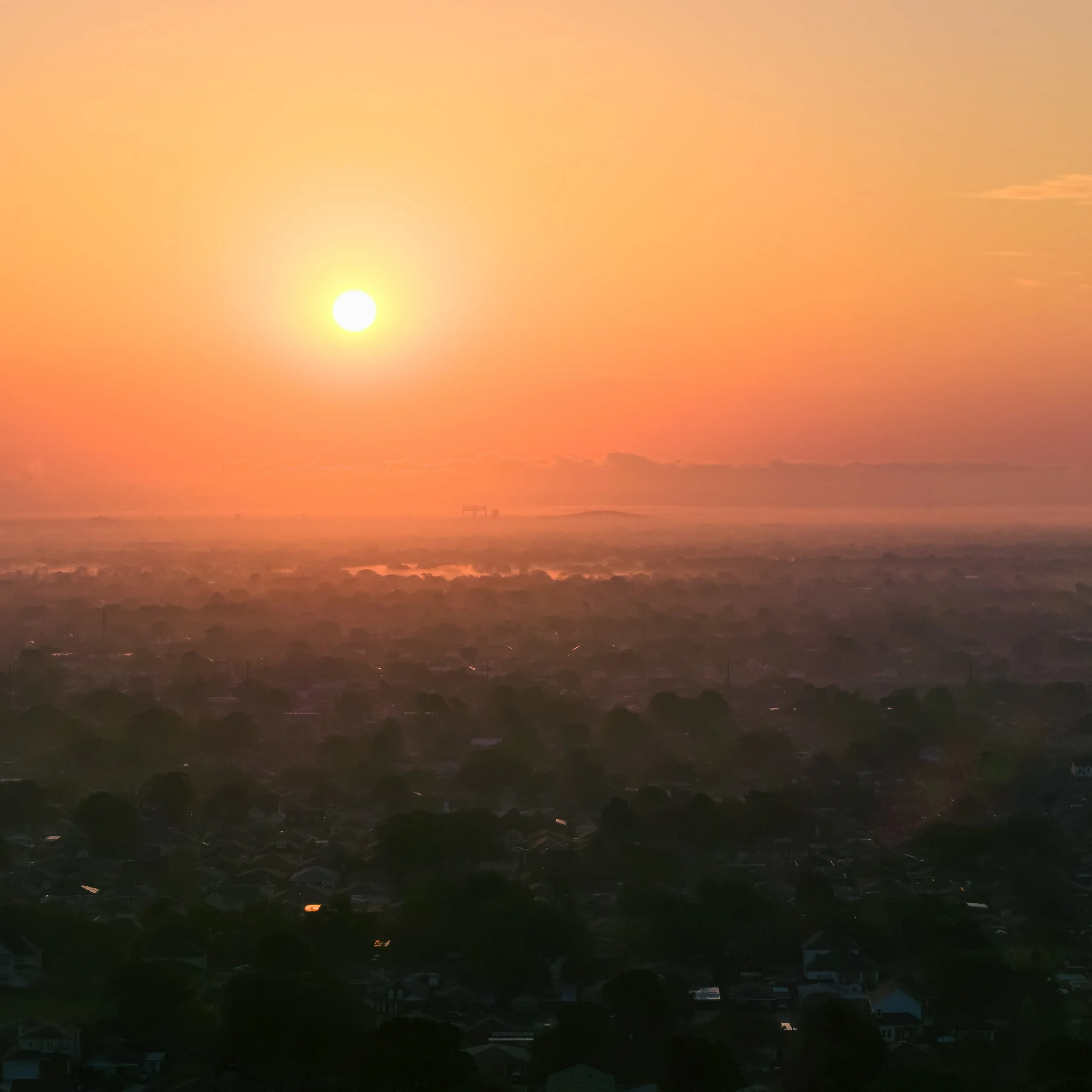 DJI_20260325071245_0169_D.jpg