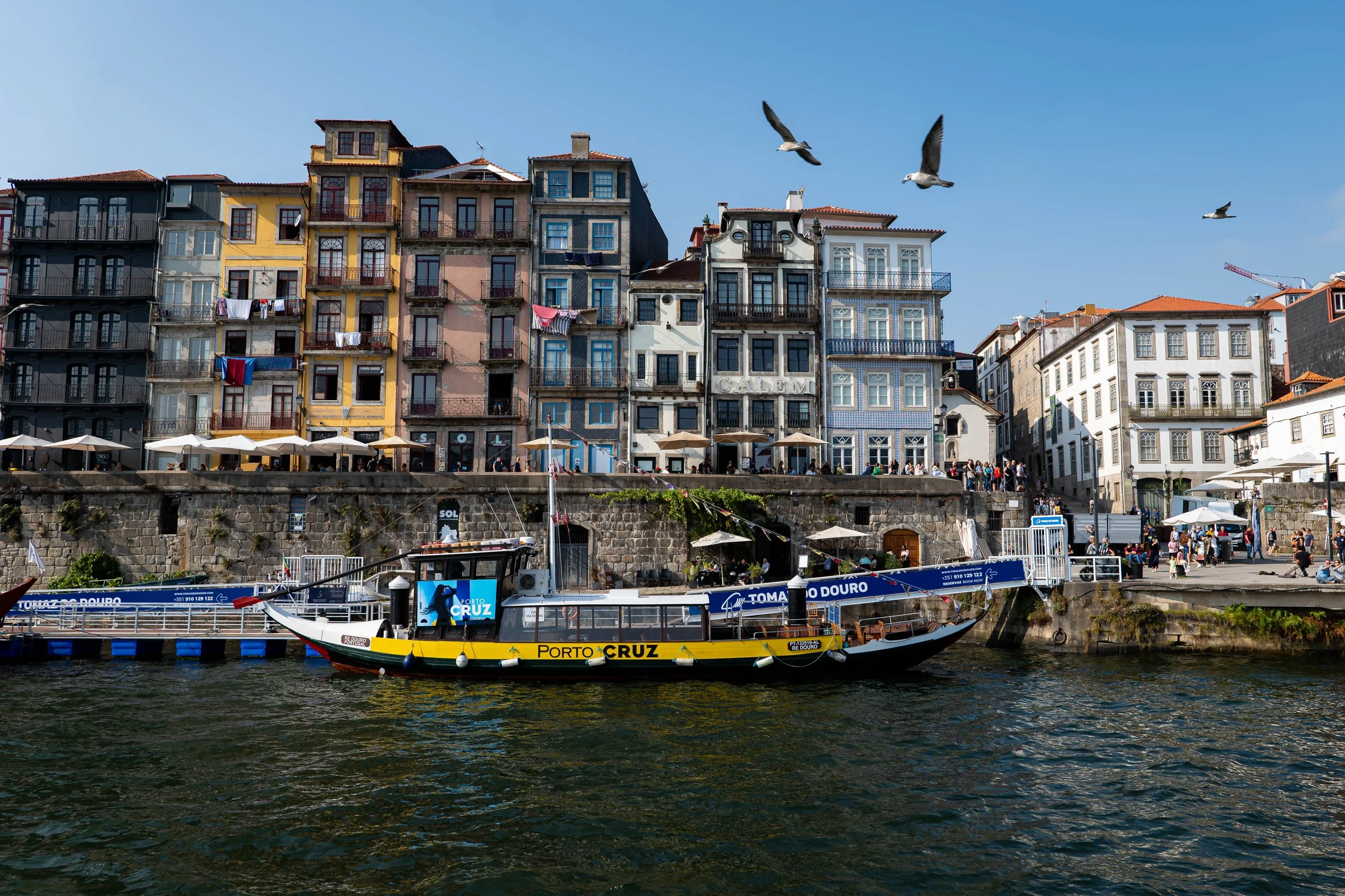 P1865593.jpg