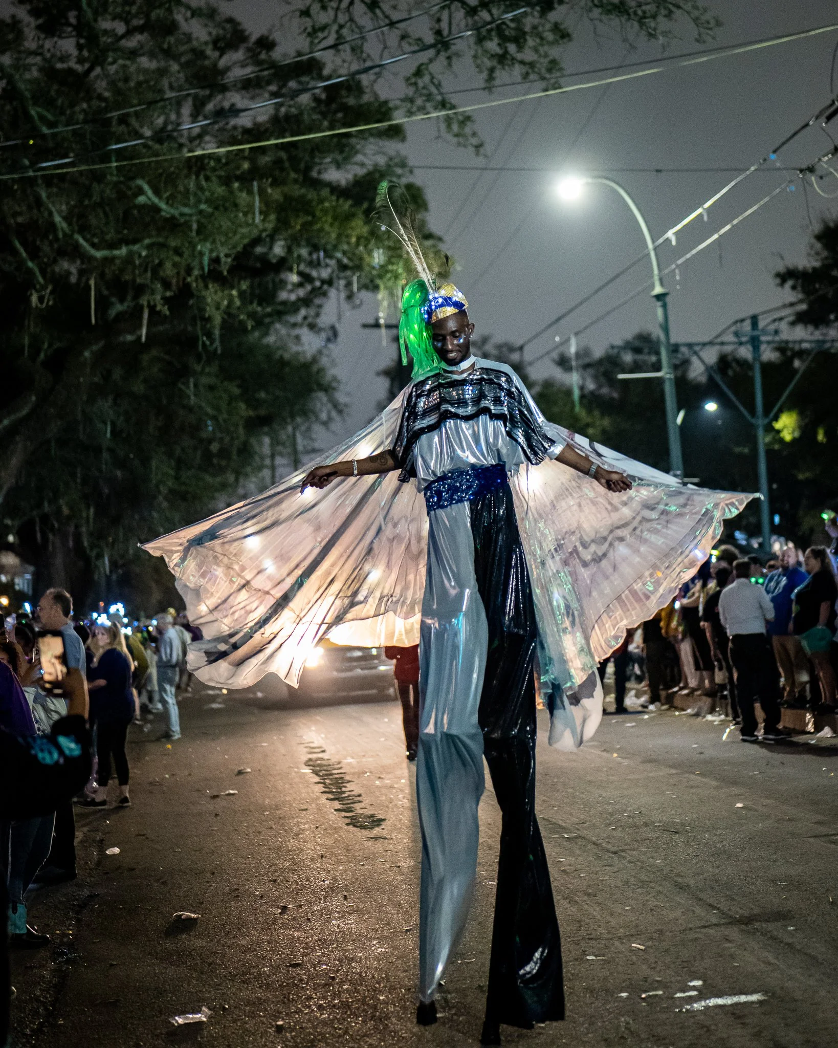 P1381248-2.jpg