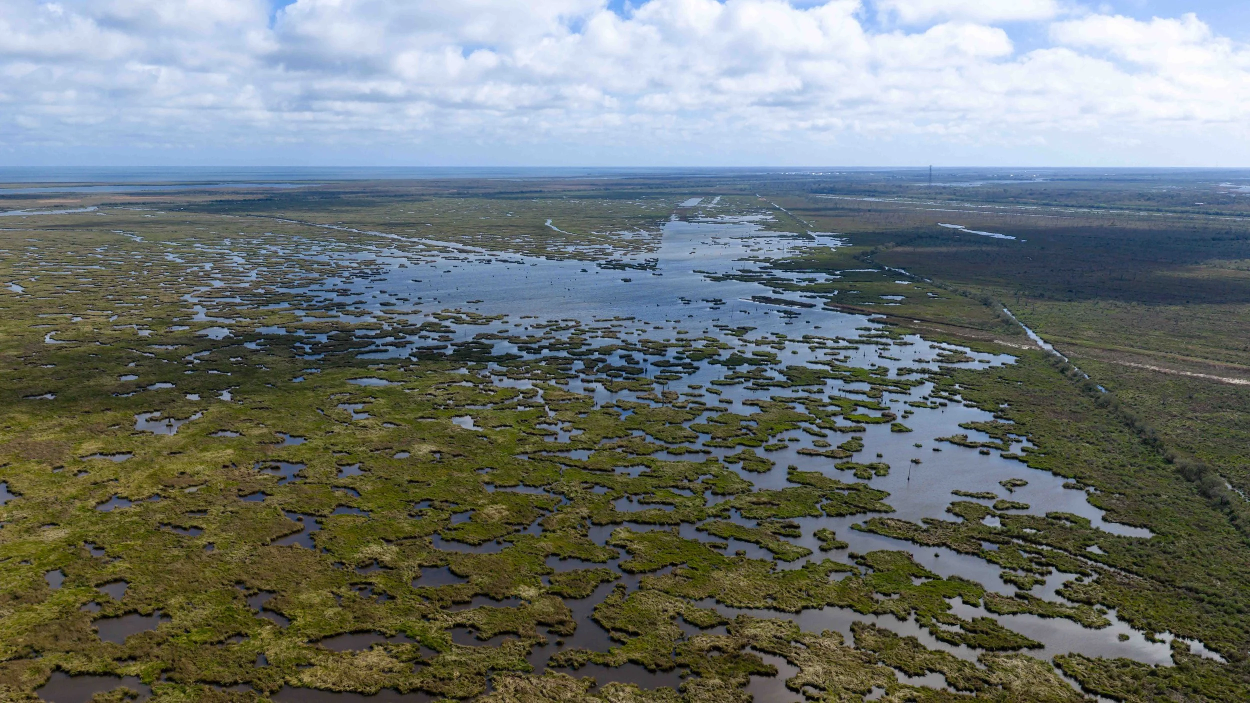 DJI_20260305100410_0144_D.jpg