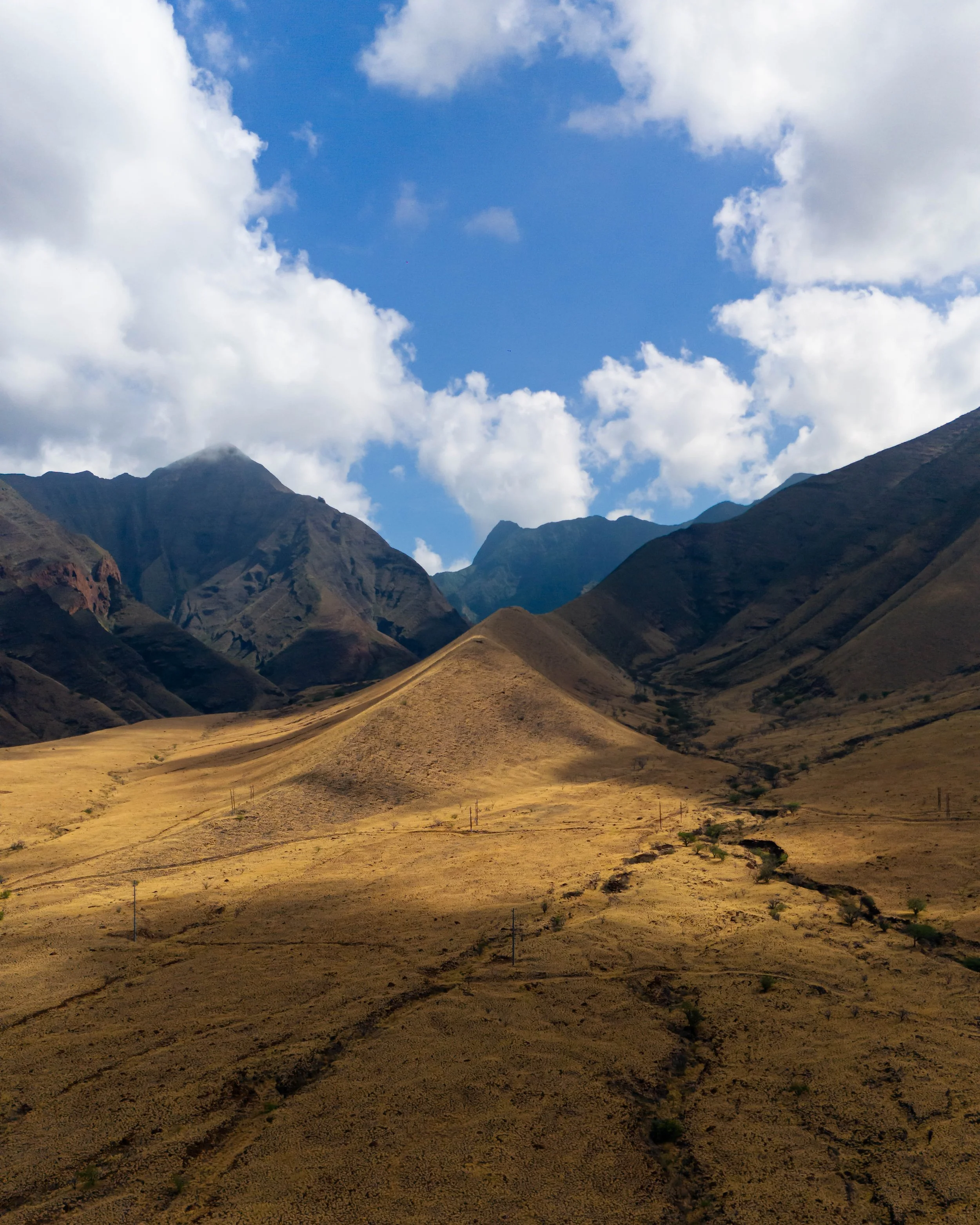 DJI_20250427145202_0399_D.jpg