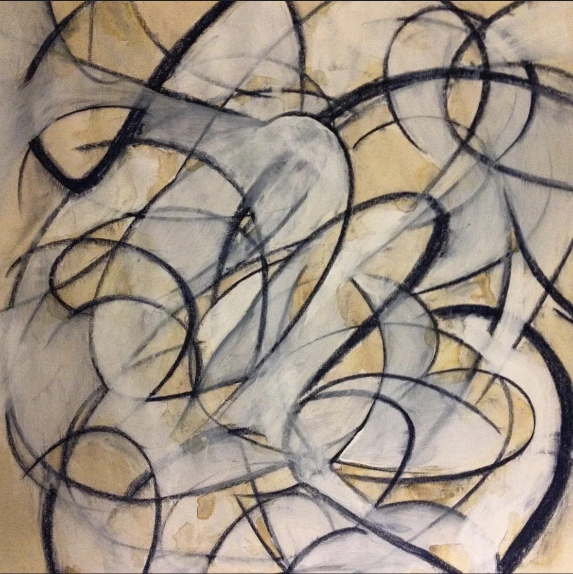 MA Champion Supporter