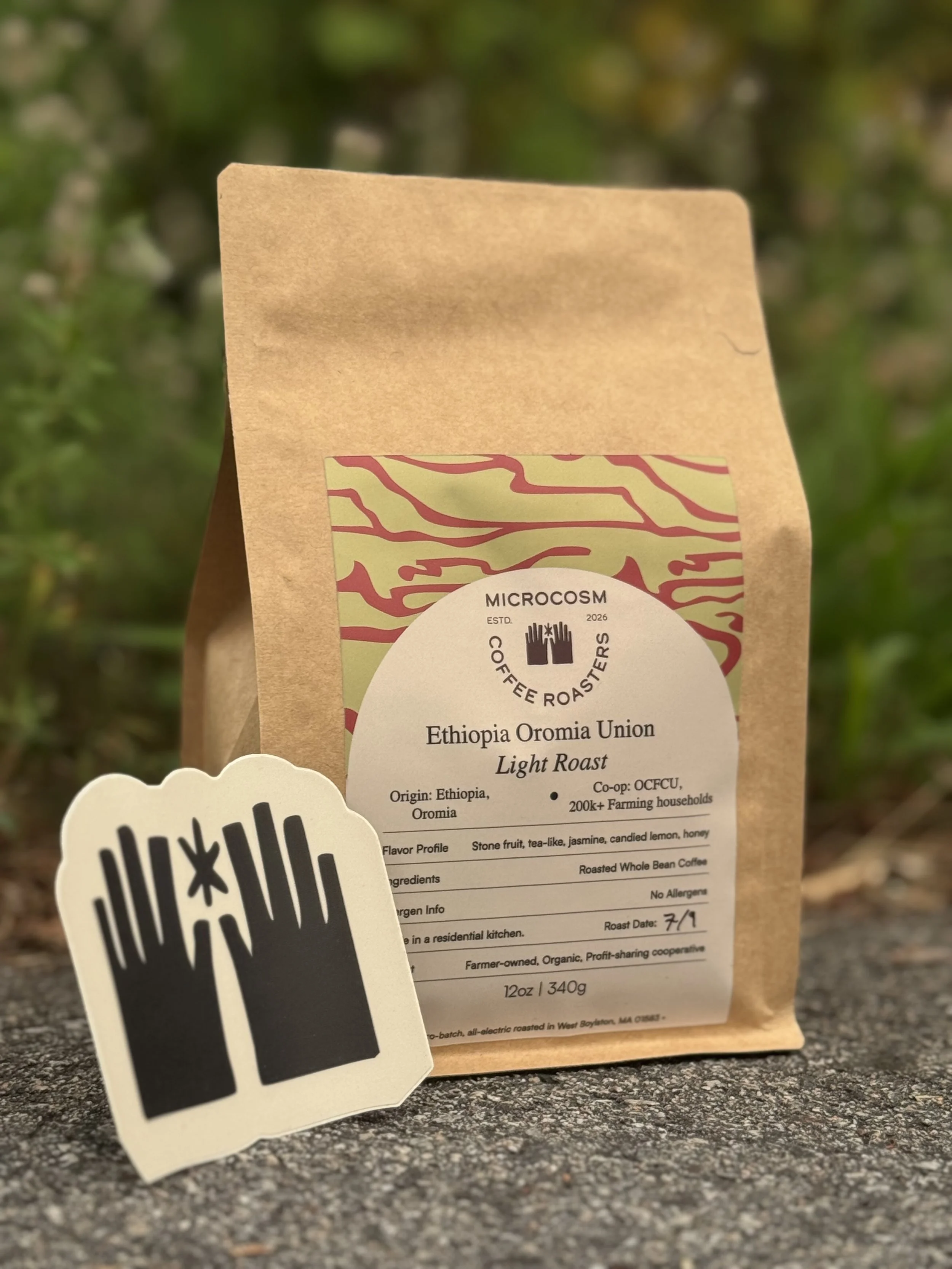 Ethiopia Oromia Union Washed - Light Roast