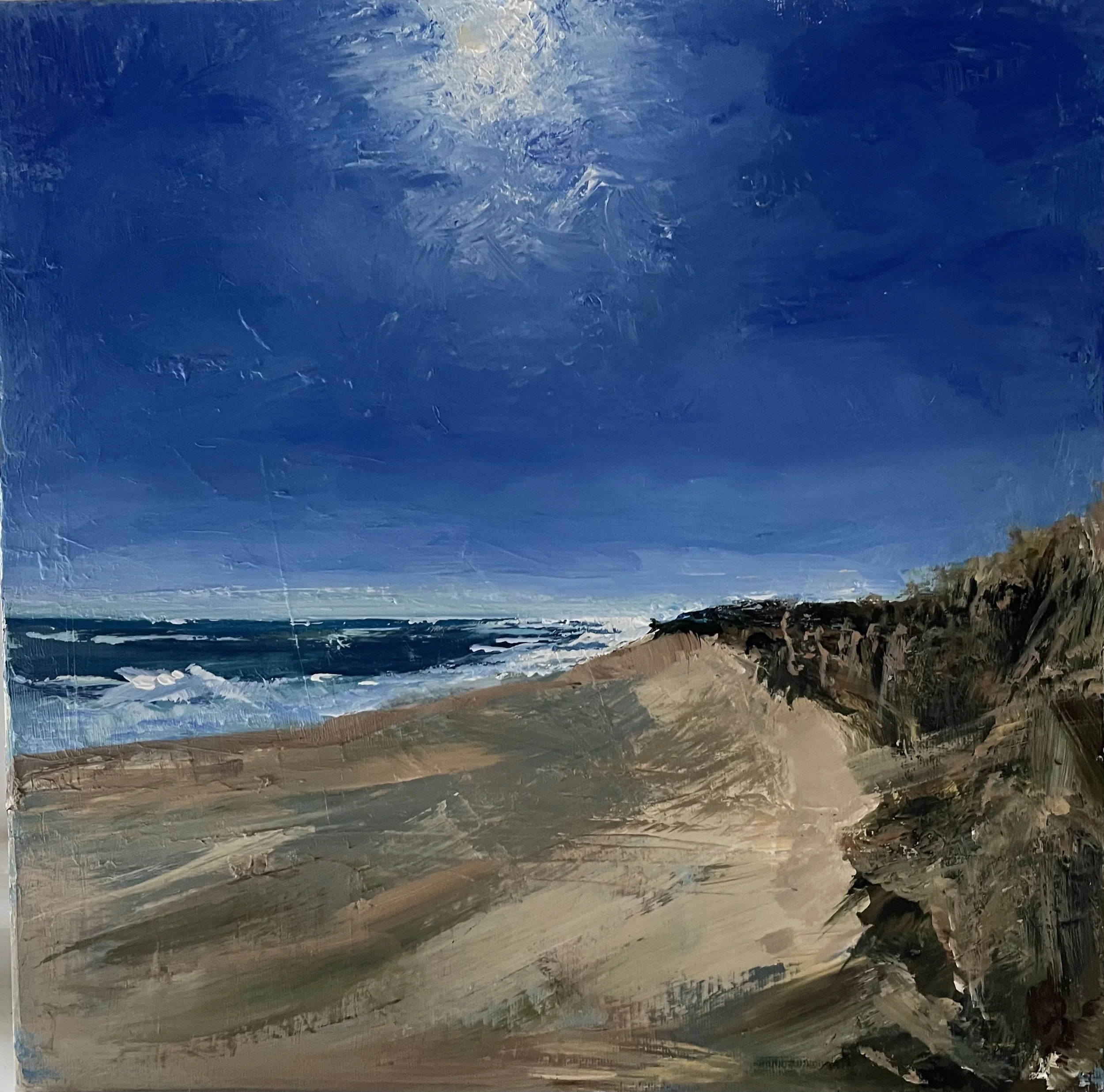 South Beach 1 (sold)