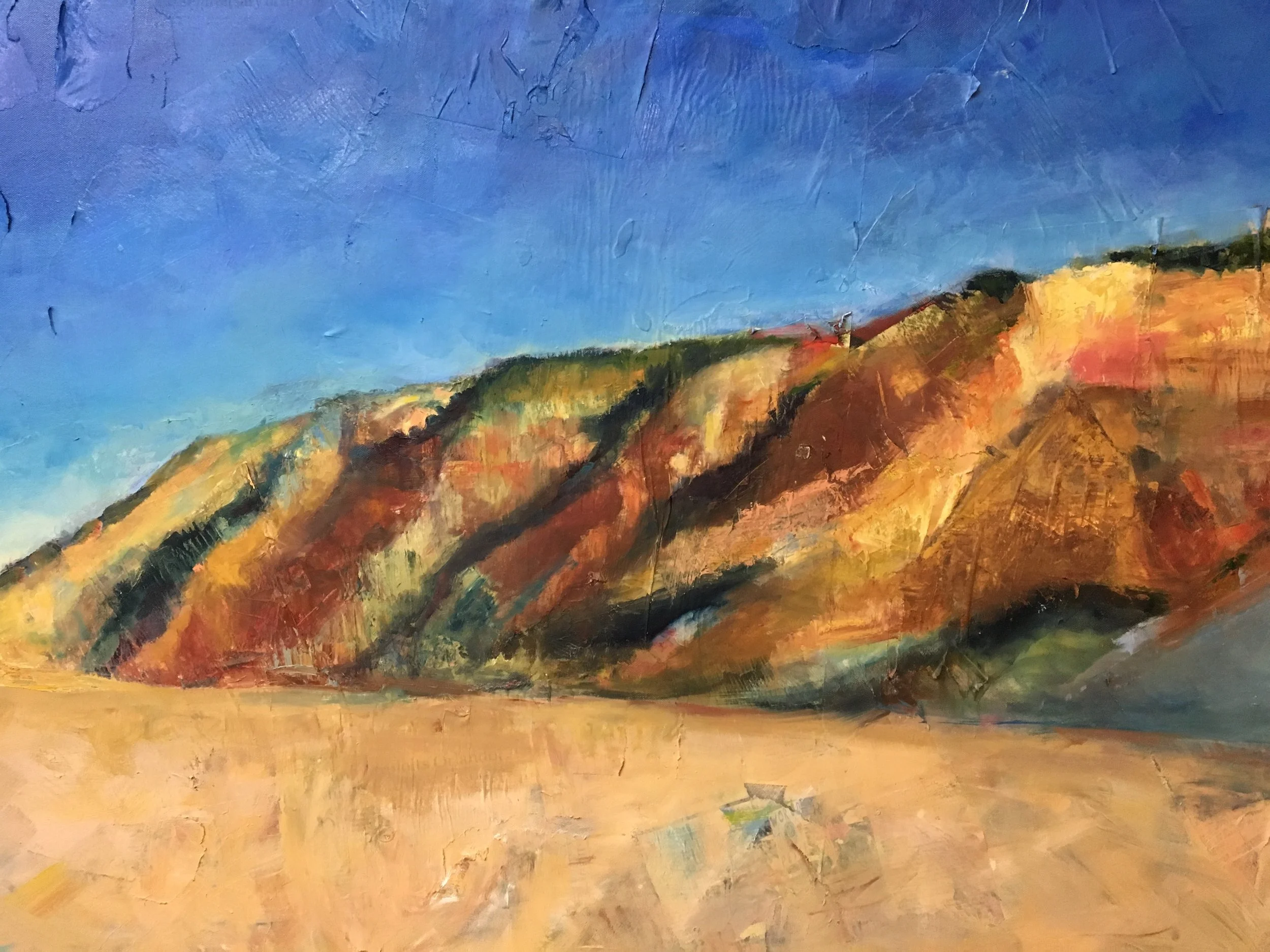 Cliffs at Aquinnah