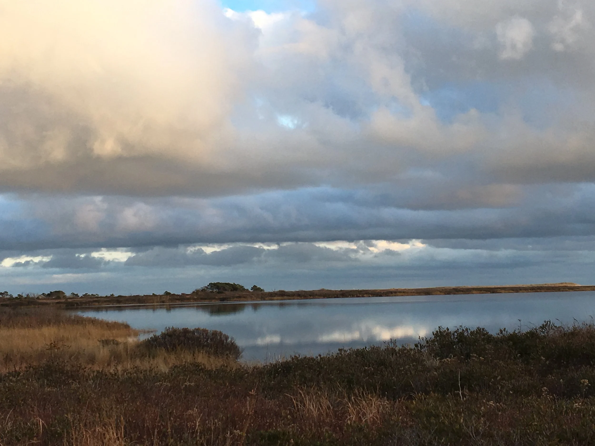 Long Point Wildlife Refuge