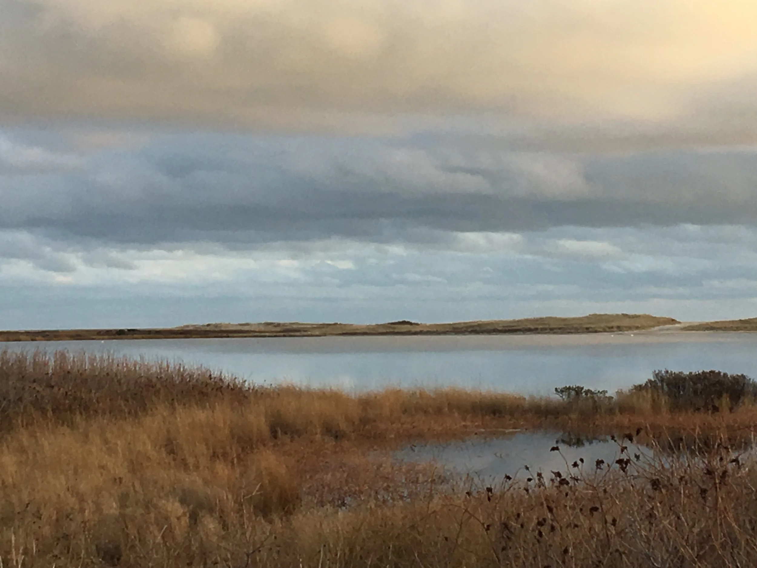 Long Point Wildlife Refuge