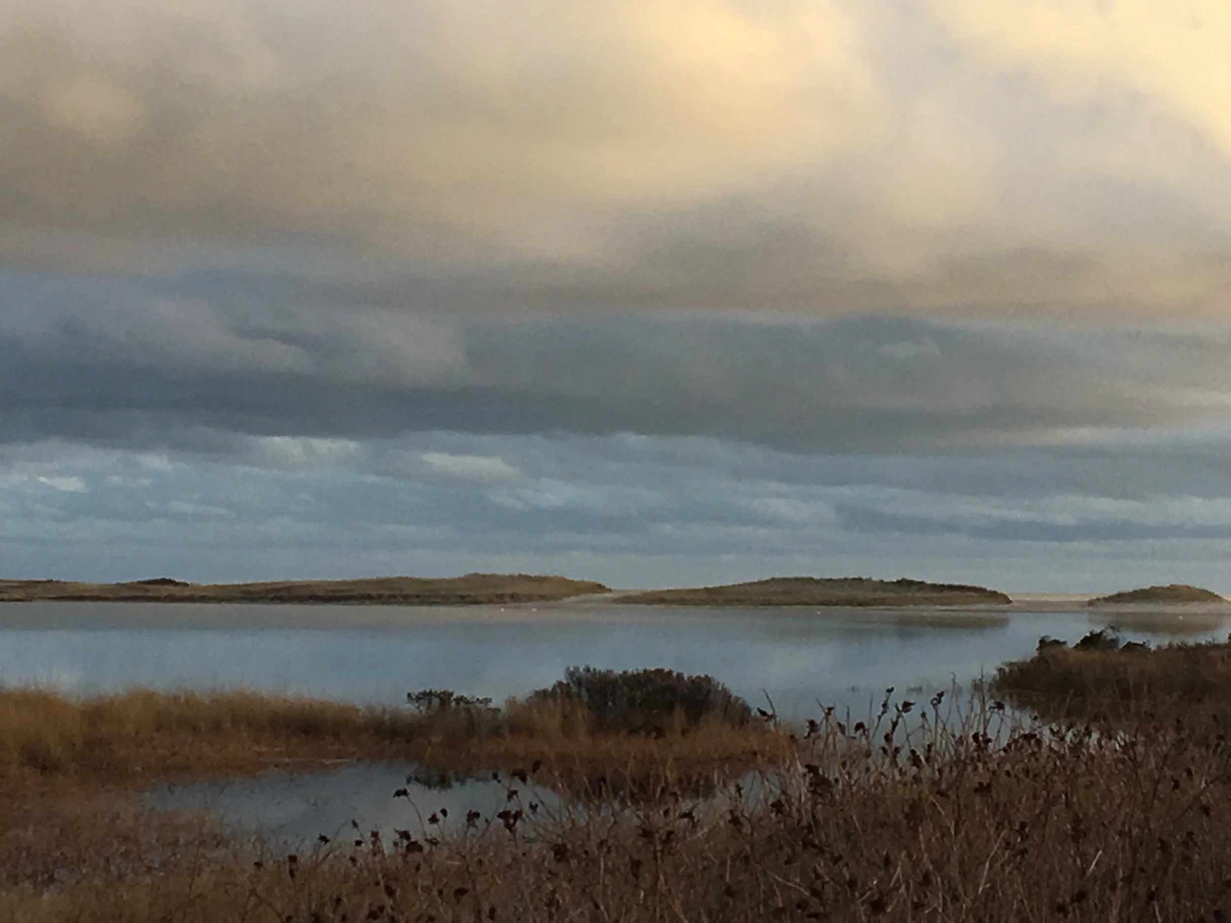 Lambert's Cove
