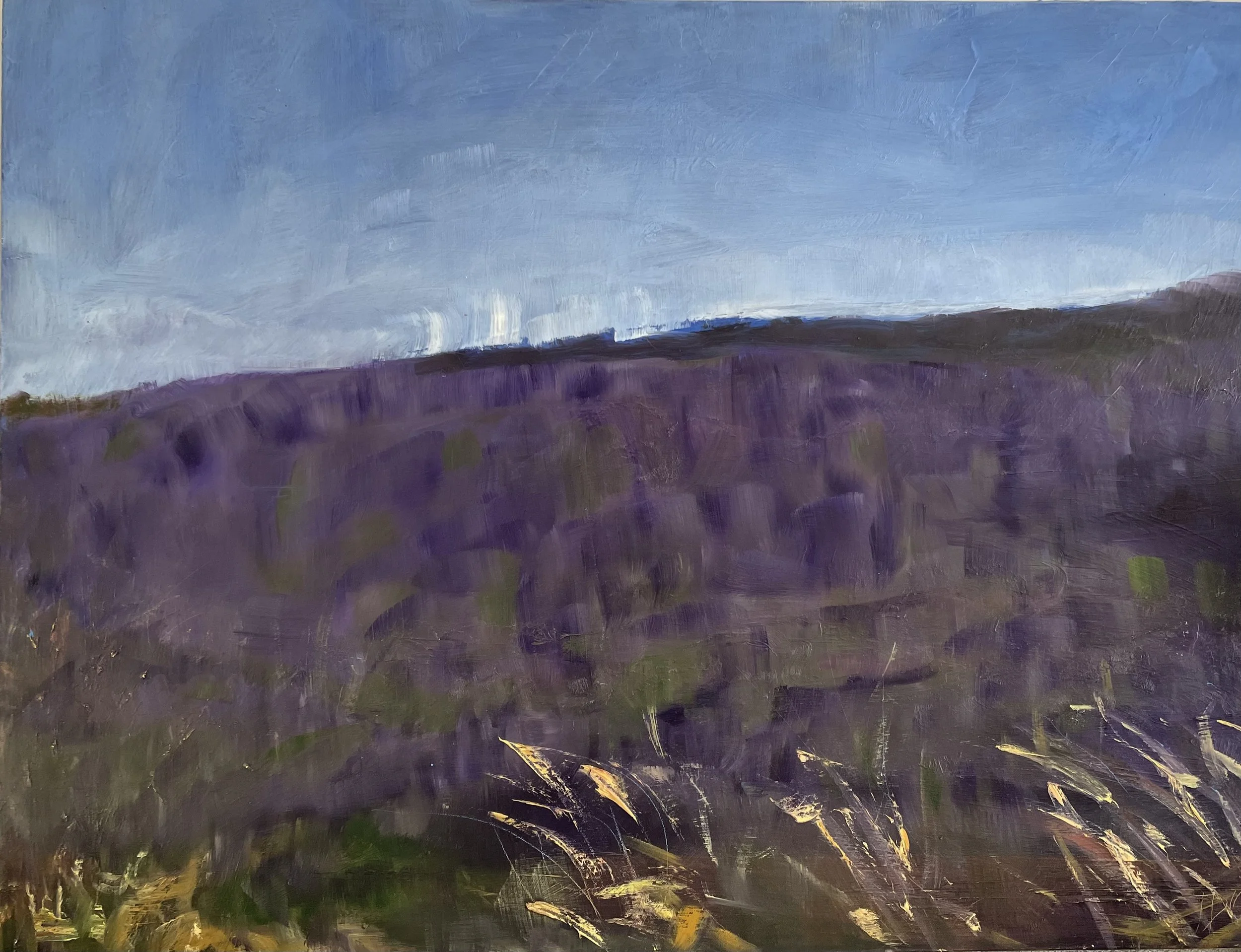 Provence Purple