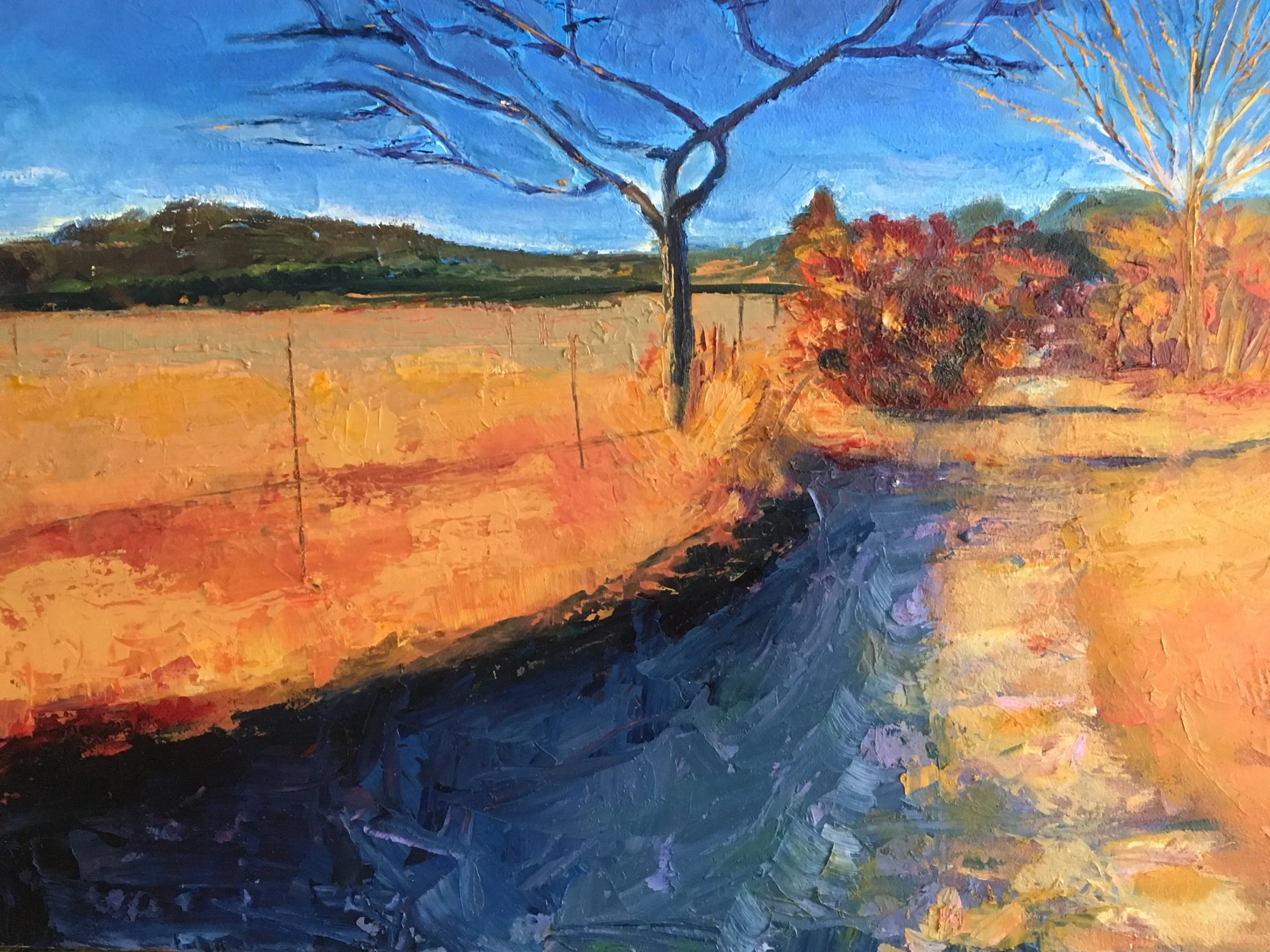 Path Behind the House (sold)