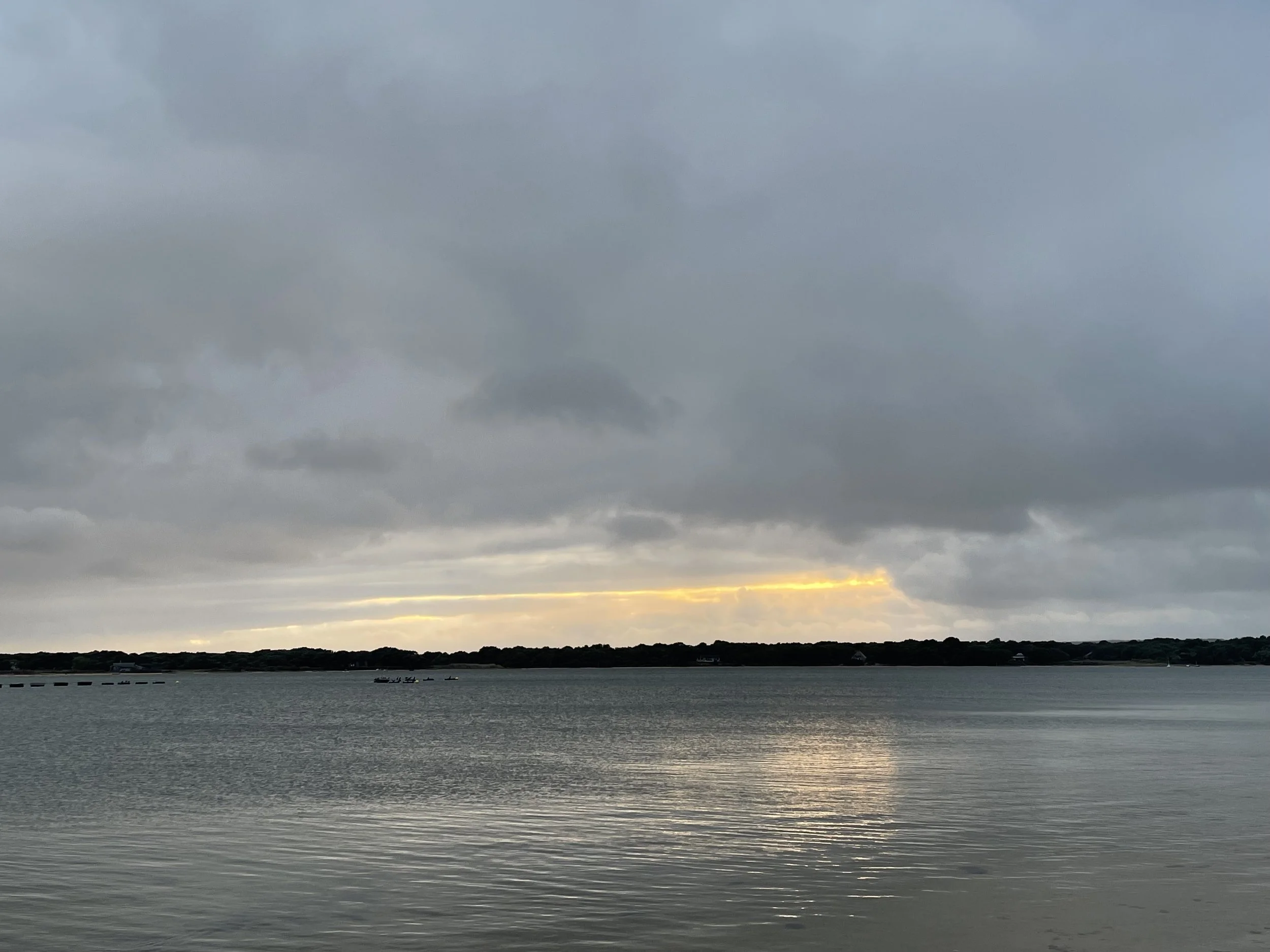 IMG_2483.jpeg