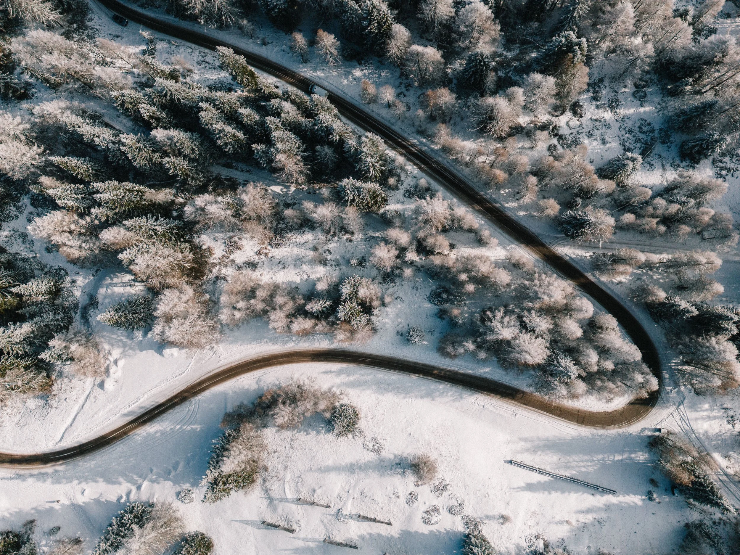 Luftaufnahme eines verschneiten Waldes mit einer kurvigen Straße, die durch die Bäume führt.