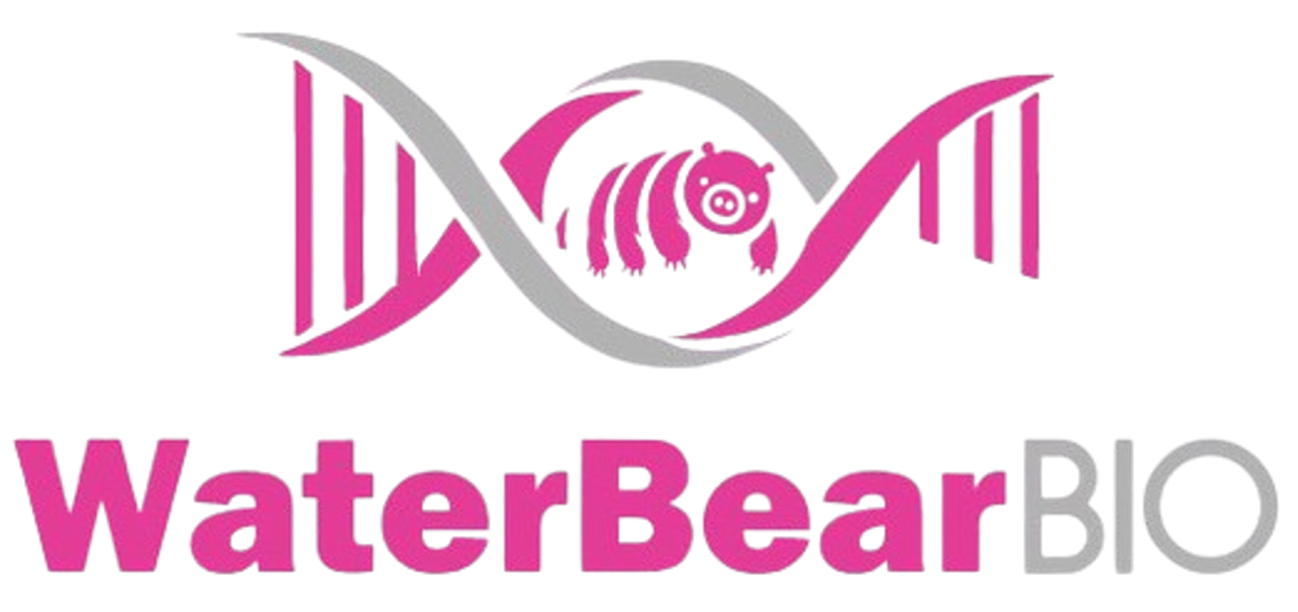 Logo for WaterBear BIO featuring a stylized DNA strand with a bear within a DNA helix, in pink and gray colors, with the text 'WaterBear BIO' underneath.