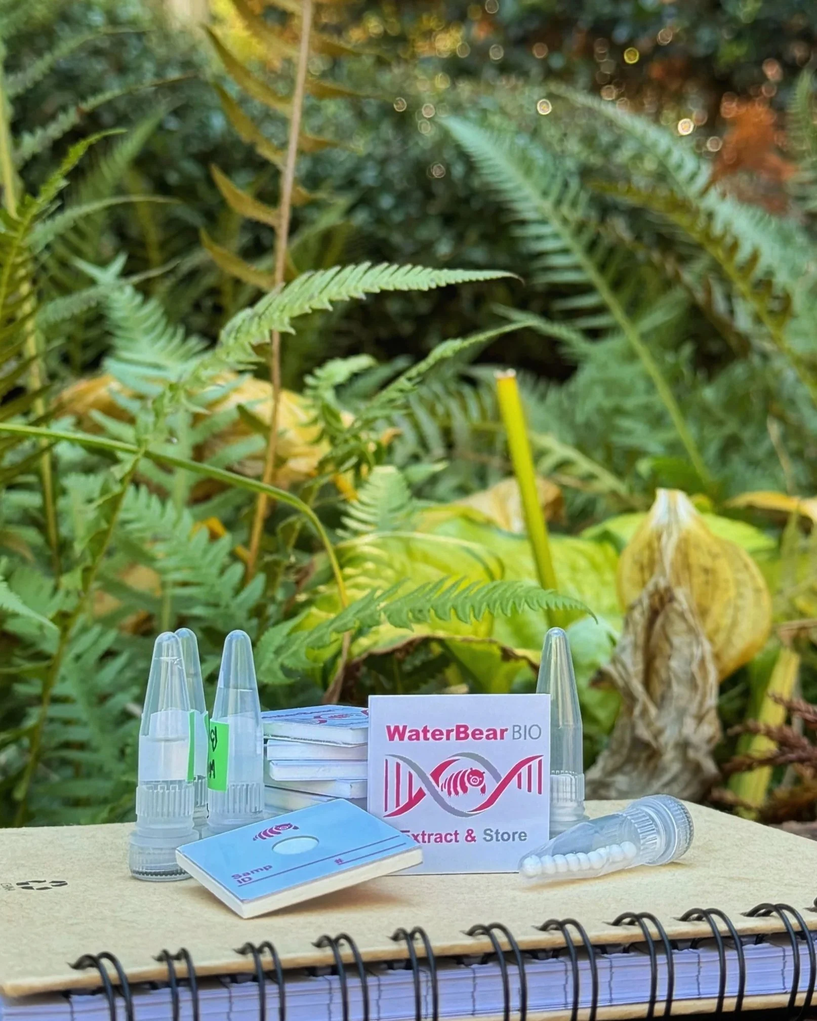 Water Bear Bio Nucleic Acid Extraction kit for remote work