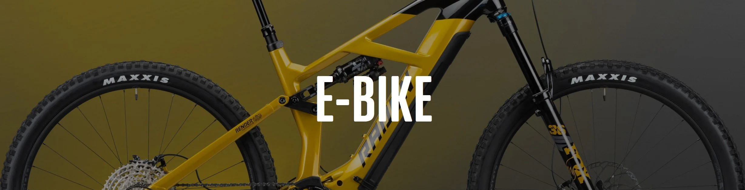 Slider-Foto_Radon E-Bike.jpg