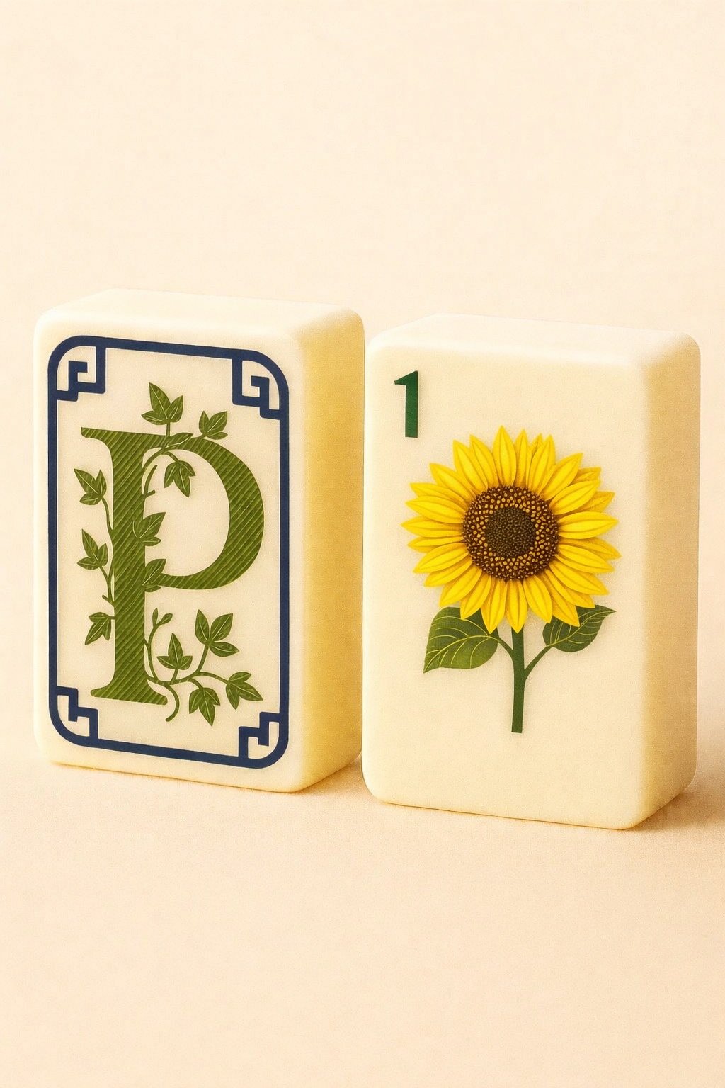 July Daytime Beginner Lesson Series 