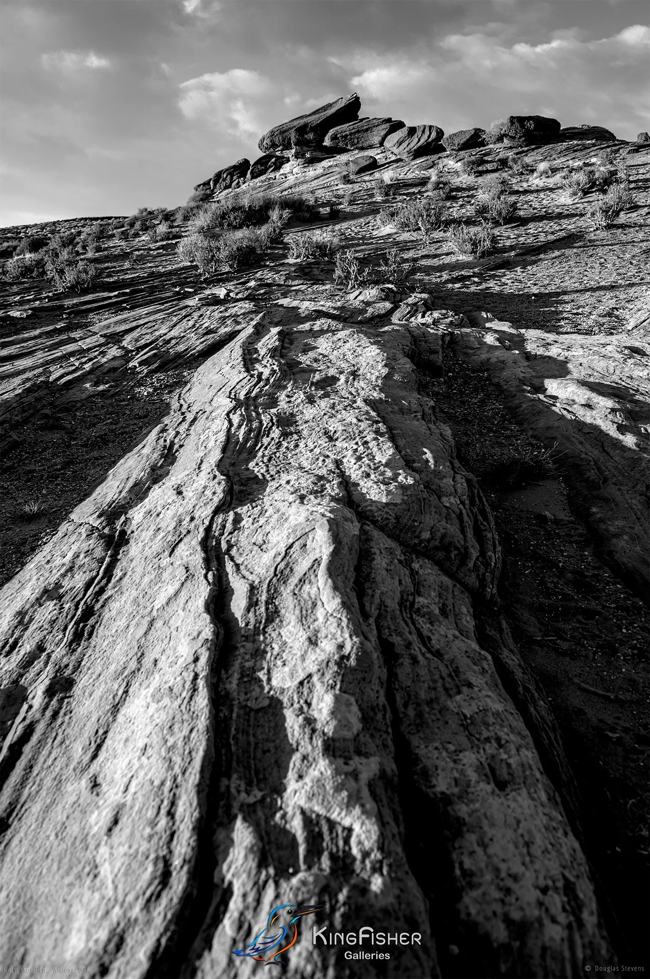014_DST_Horseshoe_Bend_AZ_USA_2012_P_BW.jpg