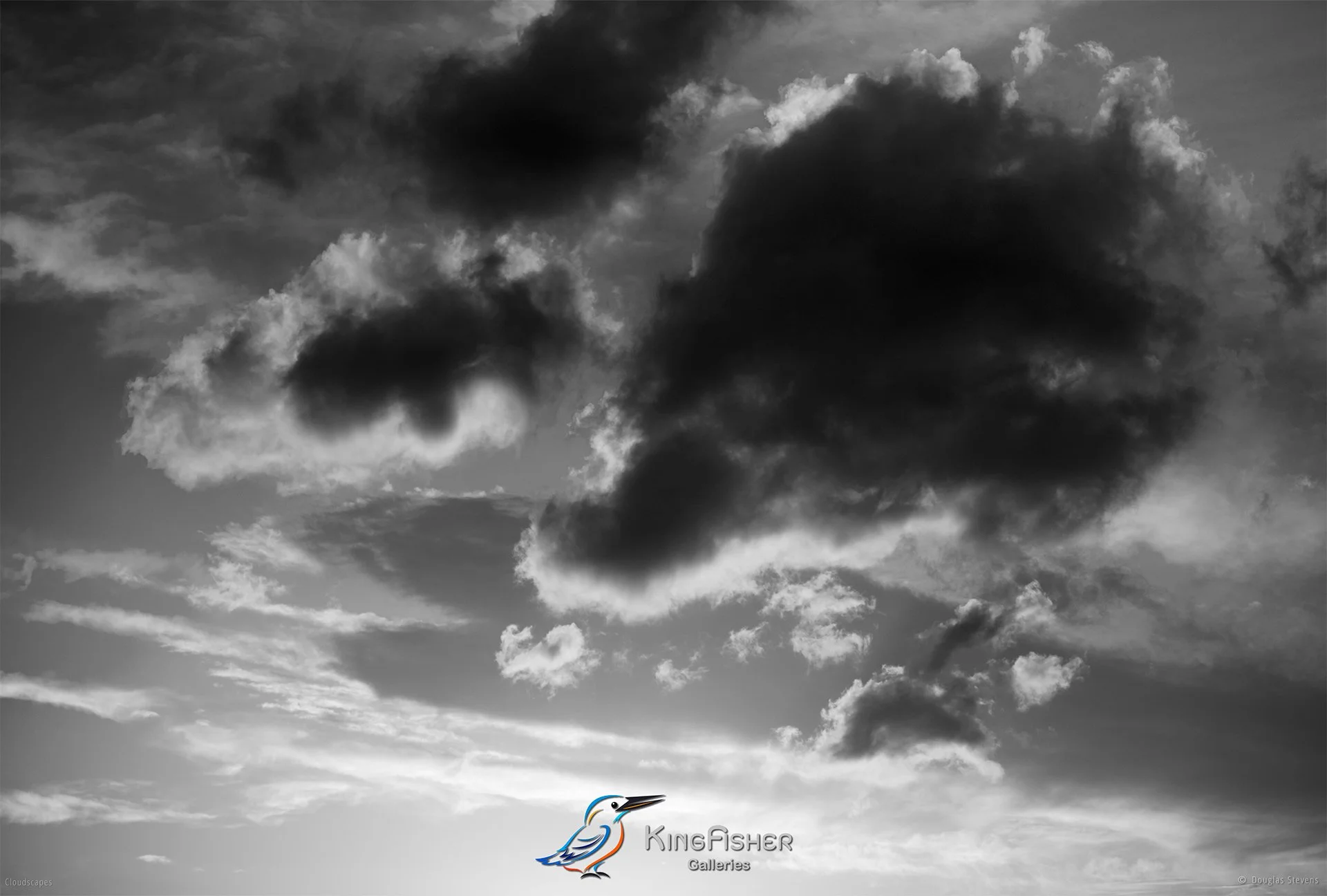 047_DST_Cloudscapes_2011_L_BW.jpg