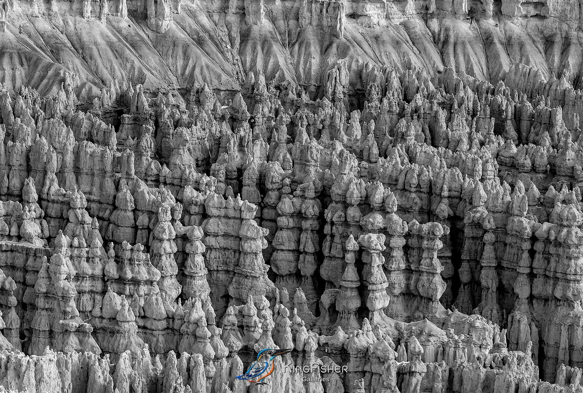 012_DST_Bryce_Canyon_NP_UT_USA_2012_L_BW.jpg