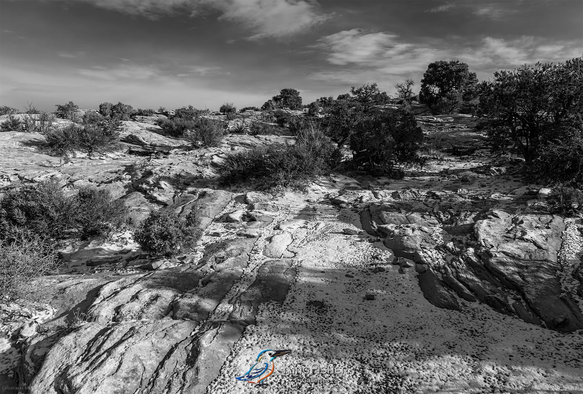 075_DST_Canyonlands_NP_UT_USA_2012_L_BW.jpg