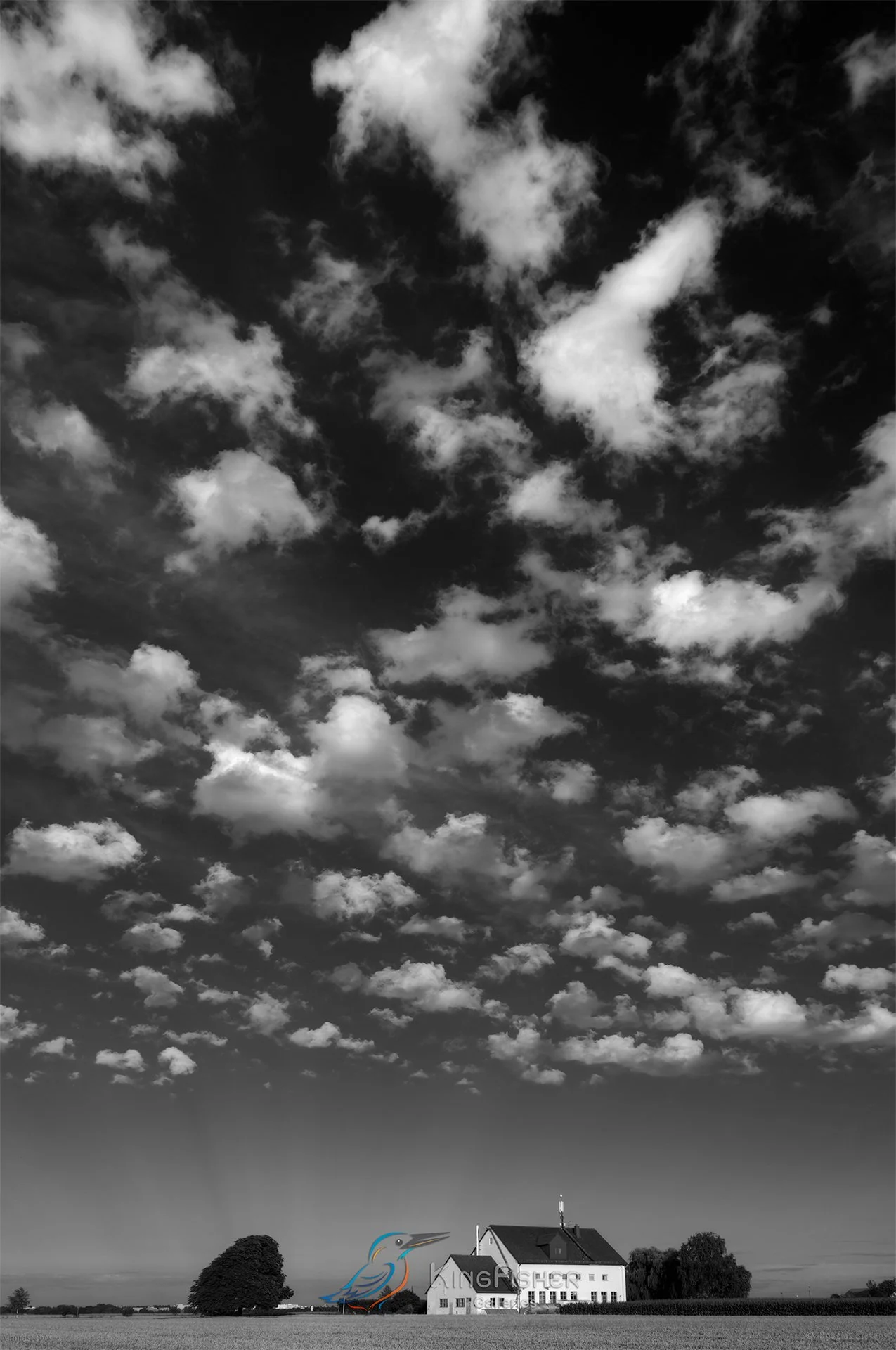 114_DST_Cloudscapes_2015_P_BW.jpg