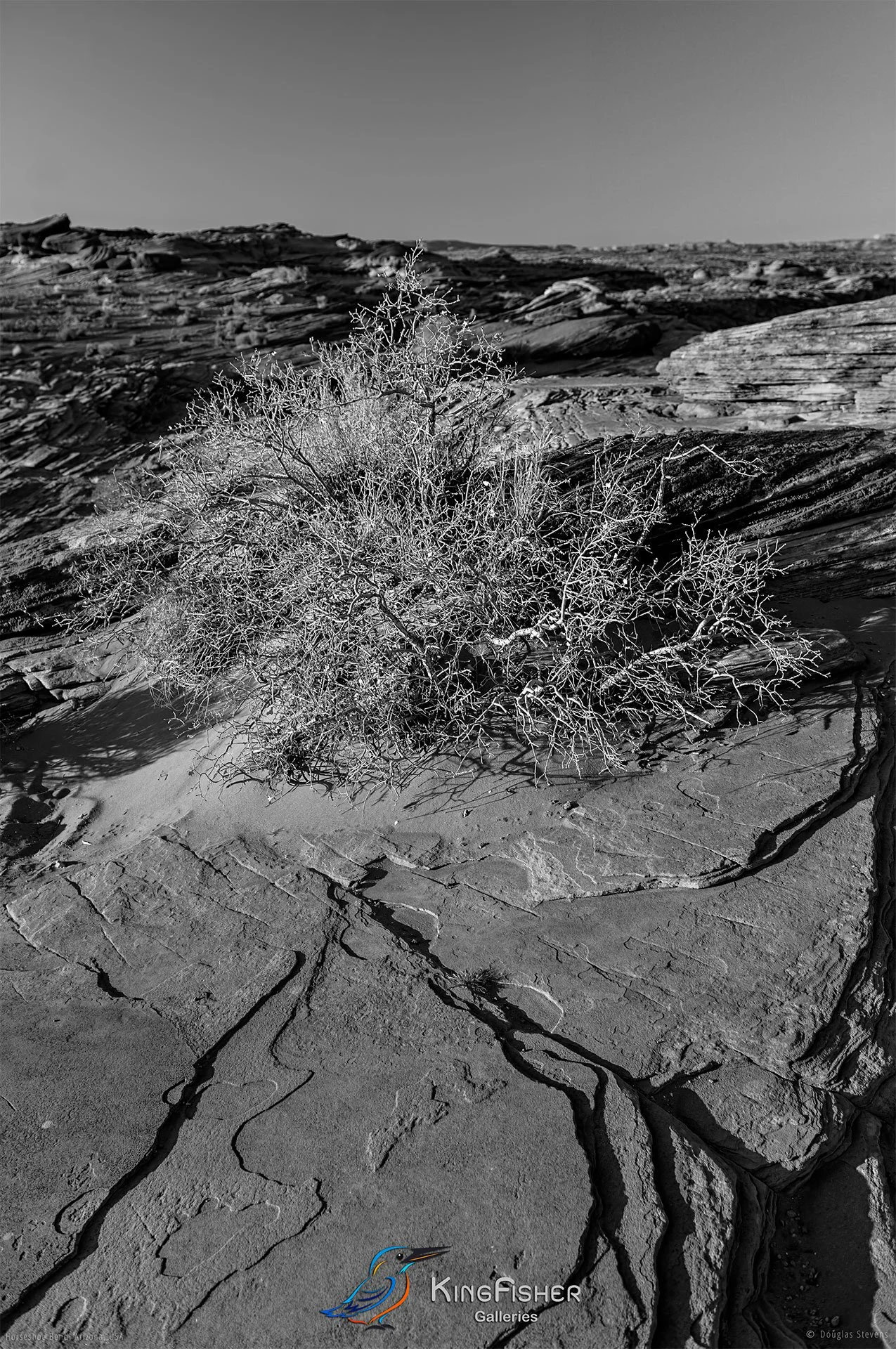 009_DST_Horseshoe_Bend_AZ_USA_2012_P_BW.jpg