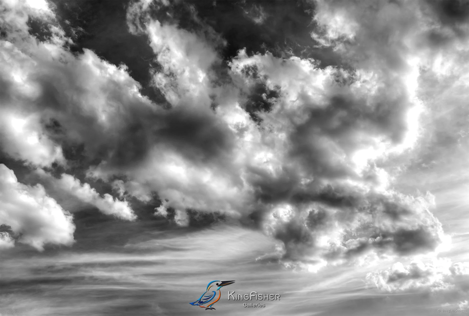031_DST_Cloudscapes_2010_L_BW.jpg