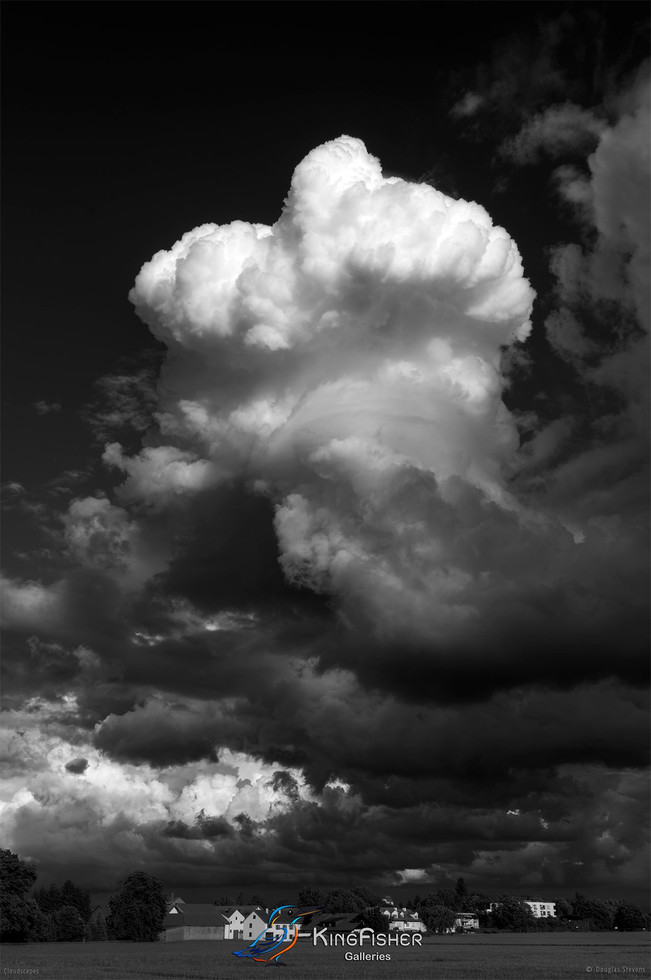 067_DST_Cloudscapes_2012_P_BW.jpg