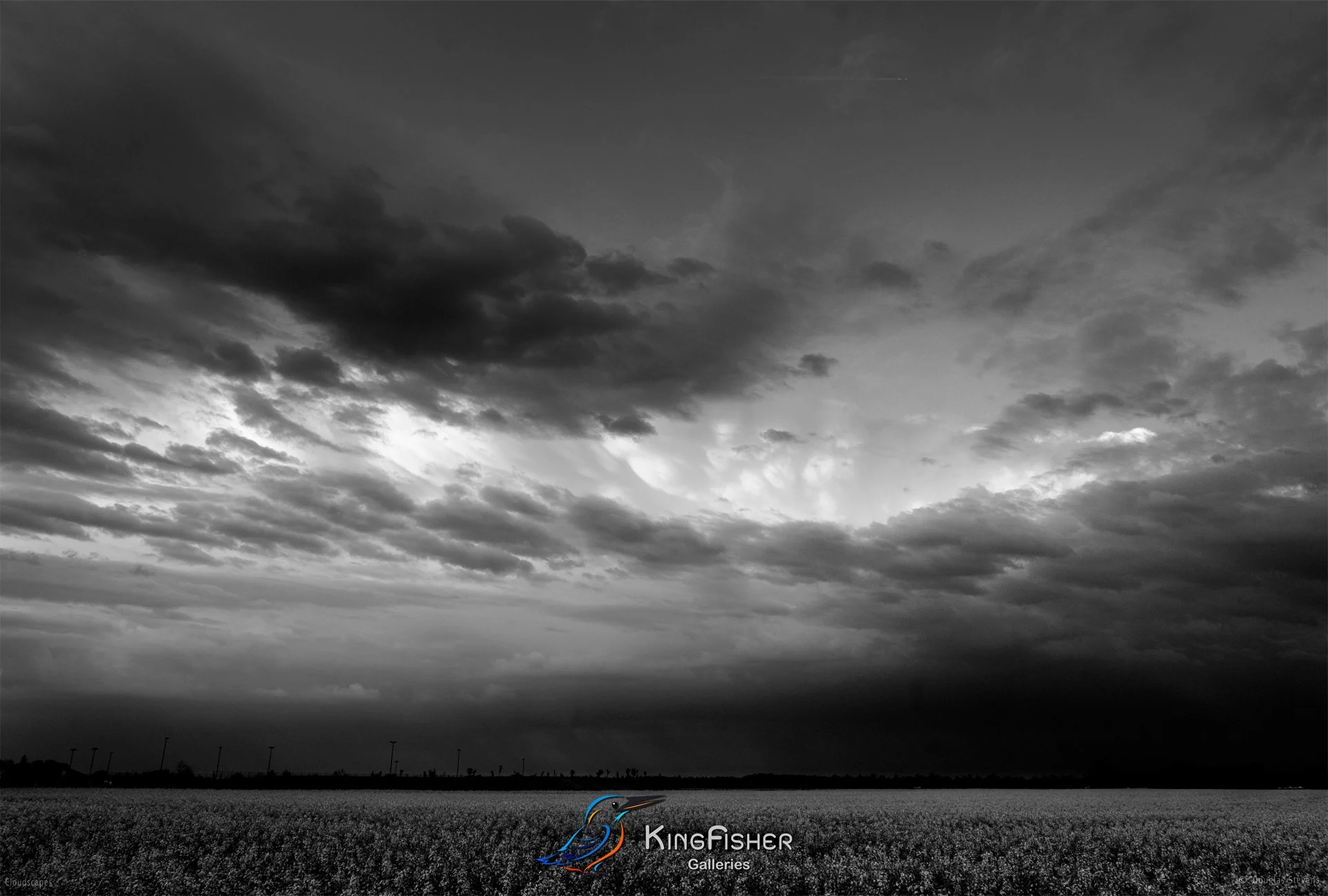 076_DST_Cloudscapes_2013_L_BW.jpg