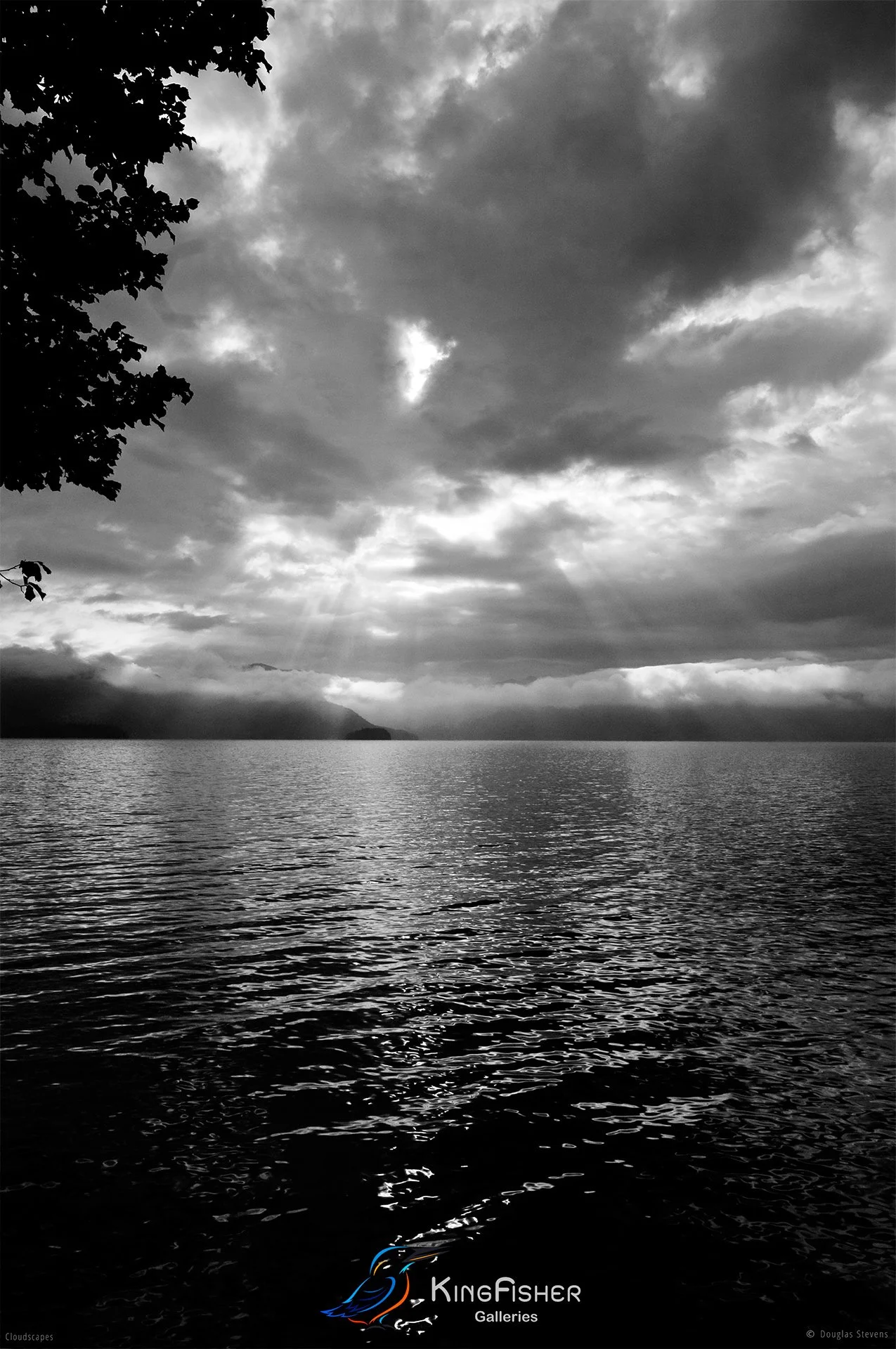 004_DST_Cloudscapes_2010_P_BW.jpg