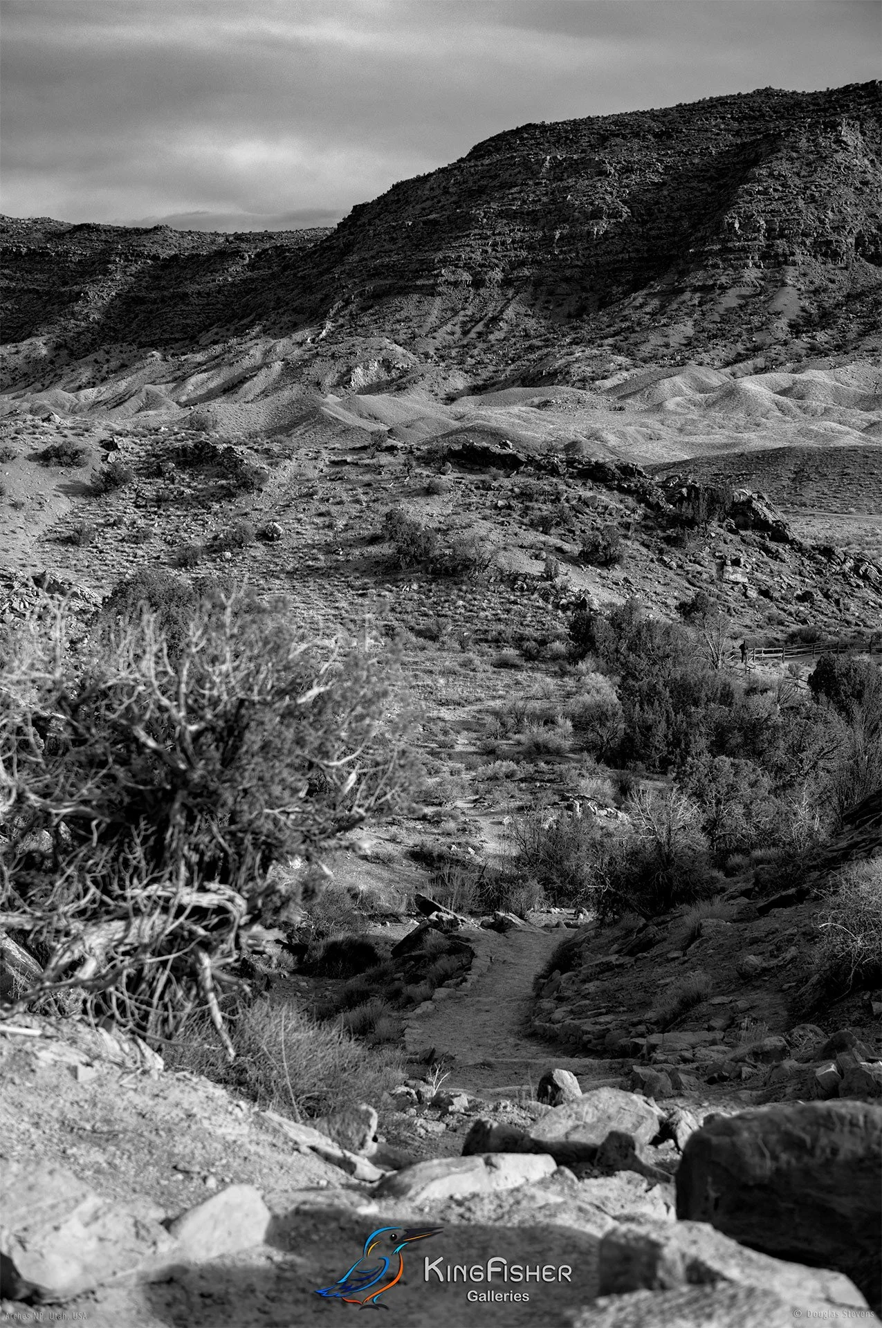 048_DST_Arches_NP_UT_USA_2012_P_BW.jpg