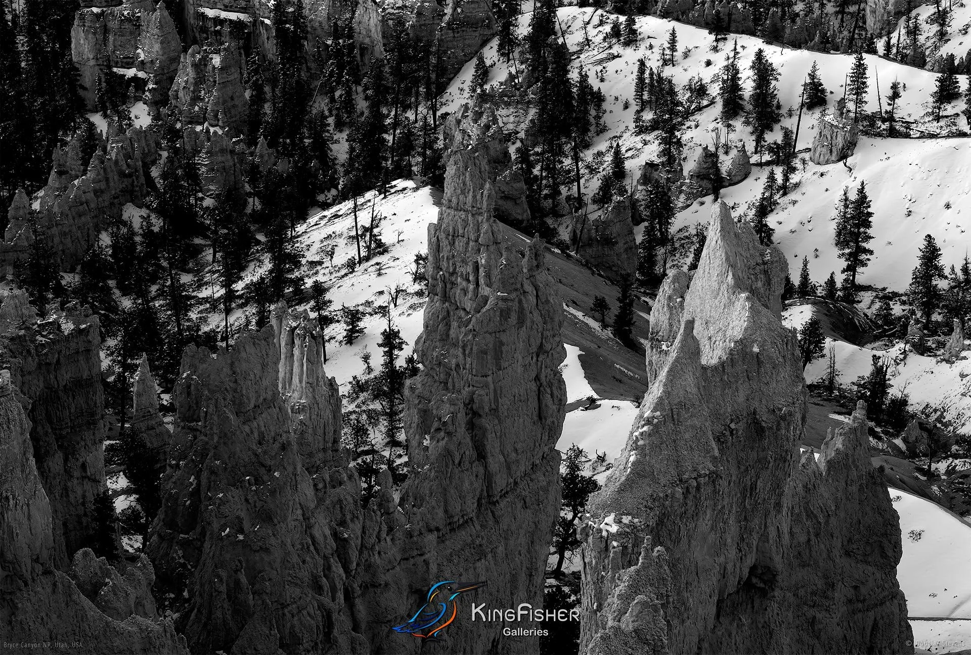 006_DST_Bryce_Canyon_NP_UT_USA_2012_L_BW.jpg