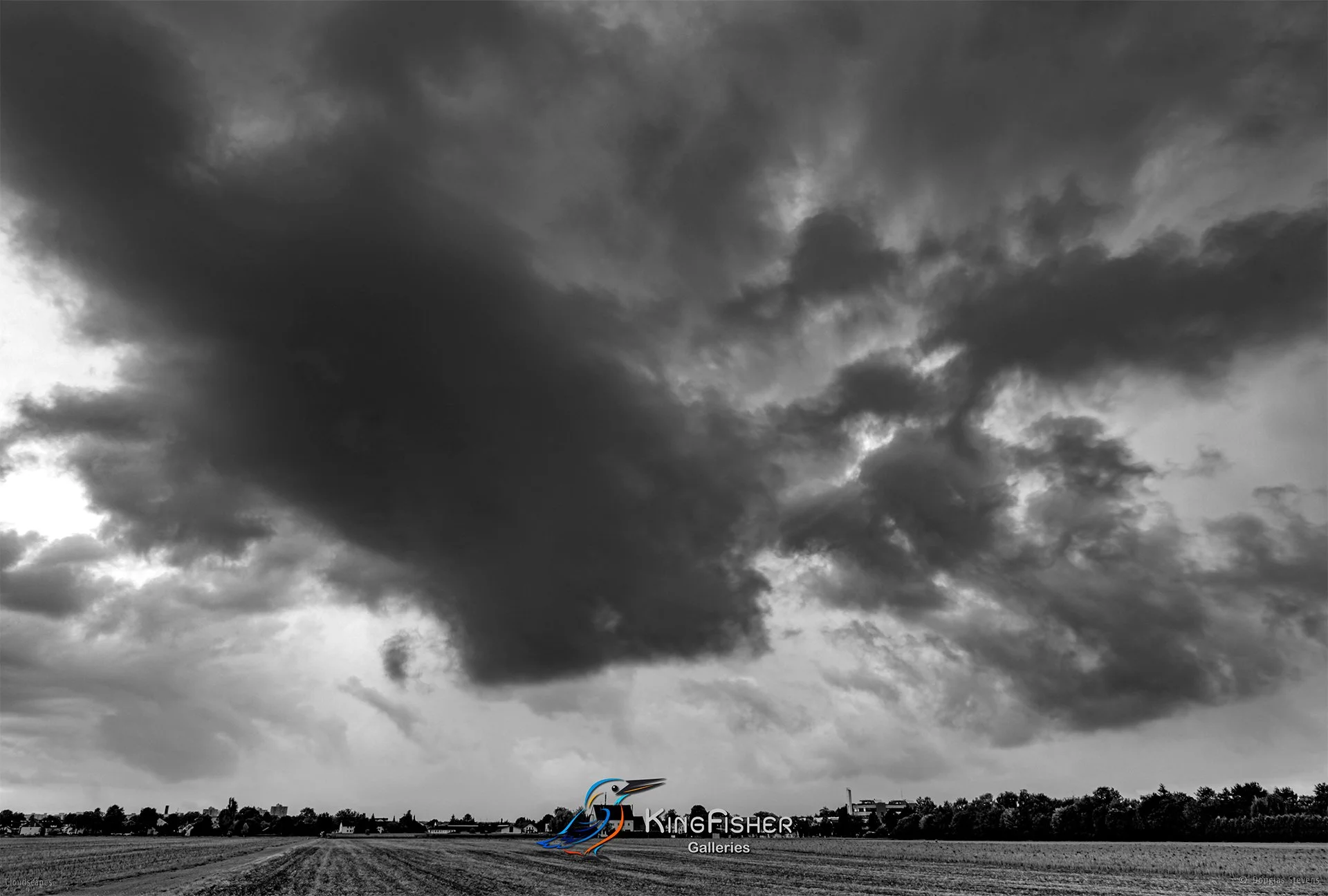 116_DST_Cloudscapes_2015_L_BW.jpg