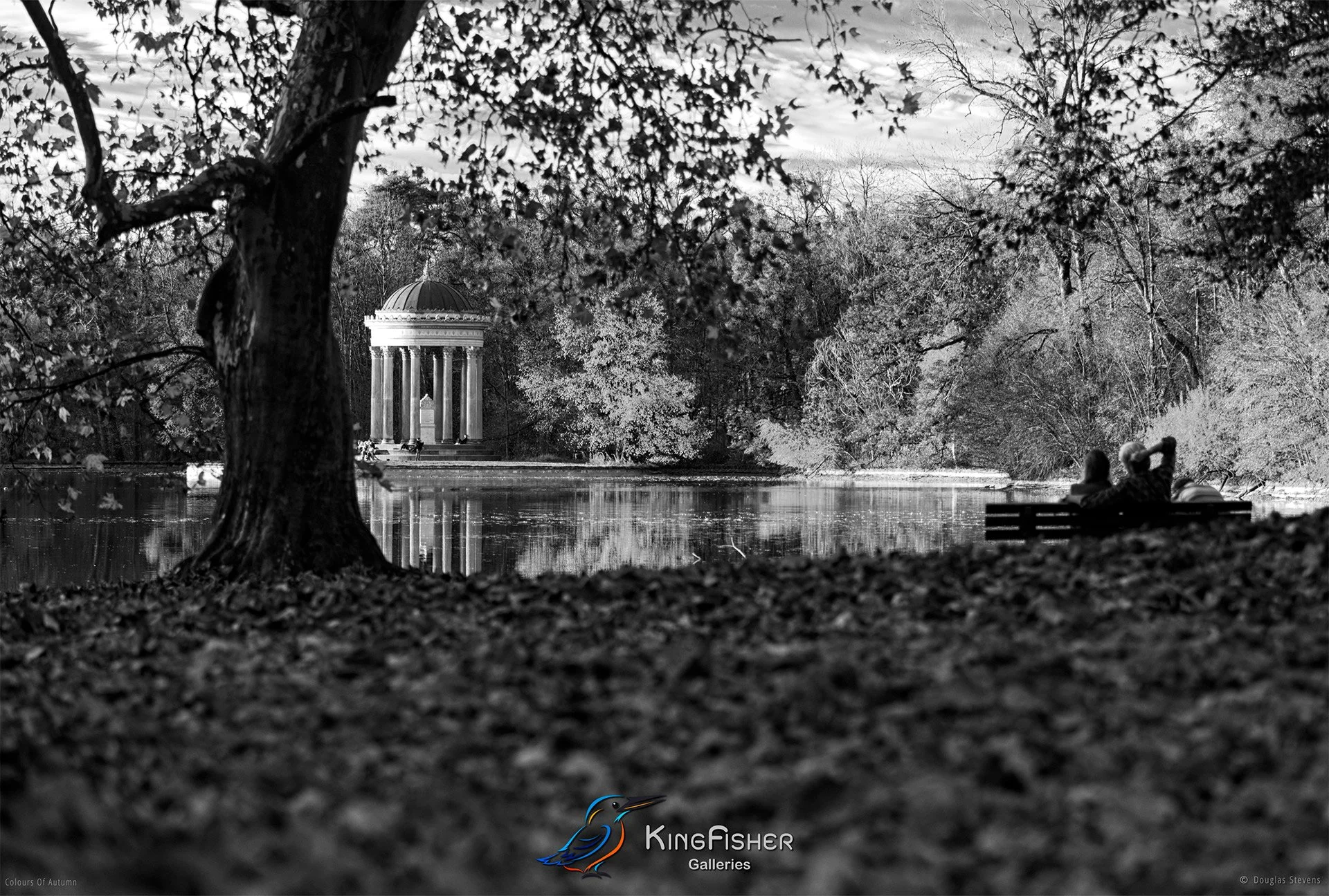 064_DST_Colours_Of_Autumn_L_BW.jpg