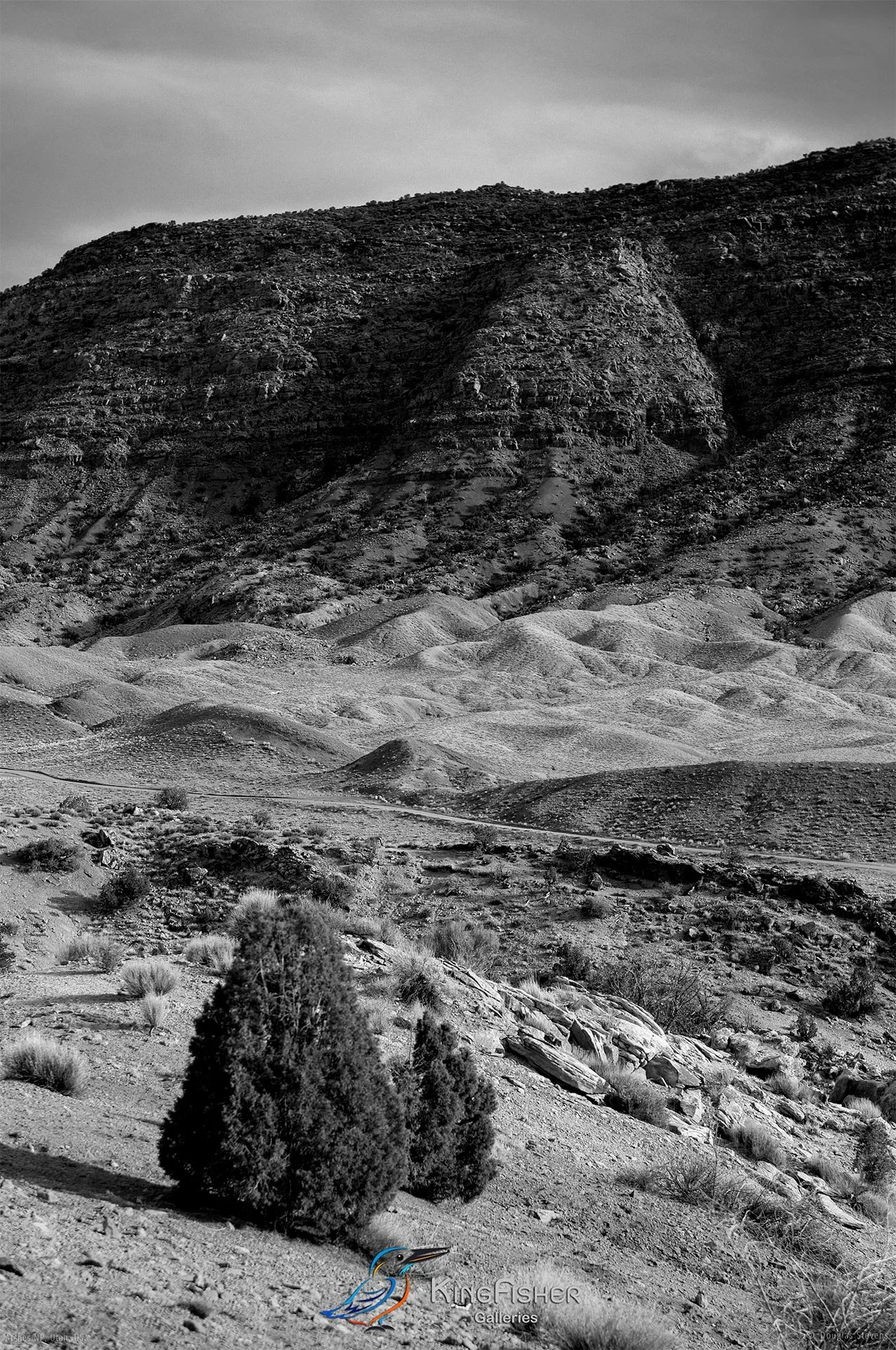 049_DST_Arches_NP_UT_USA_2012_P_BW.jpg