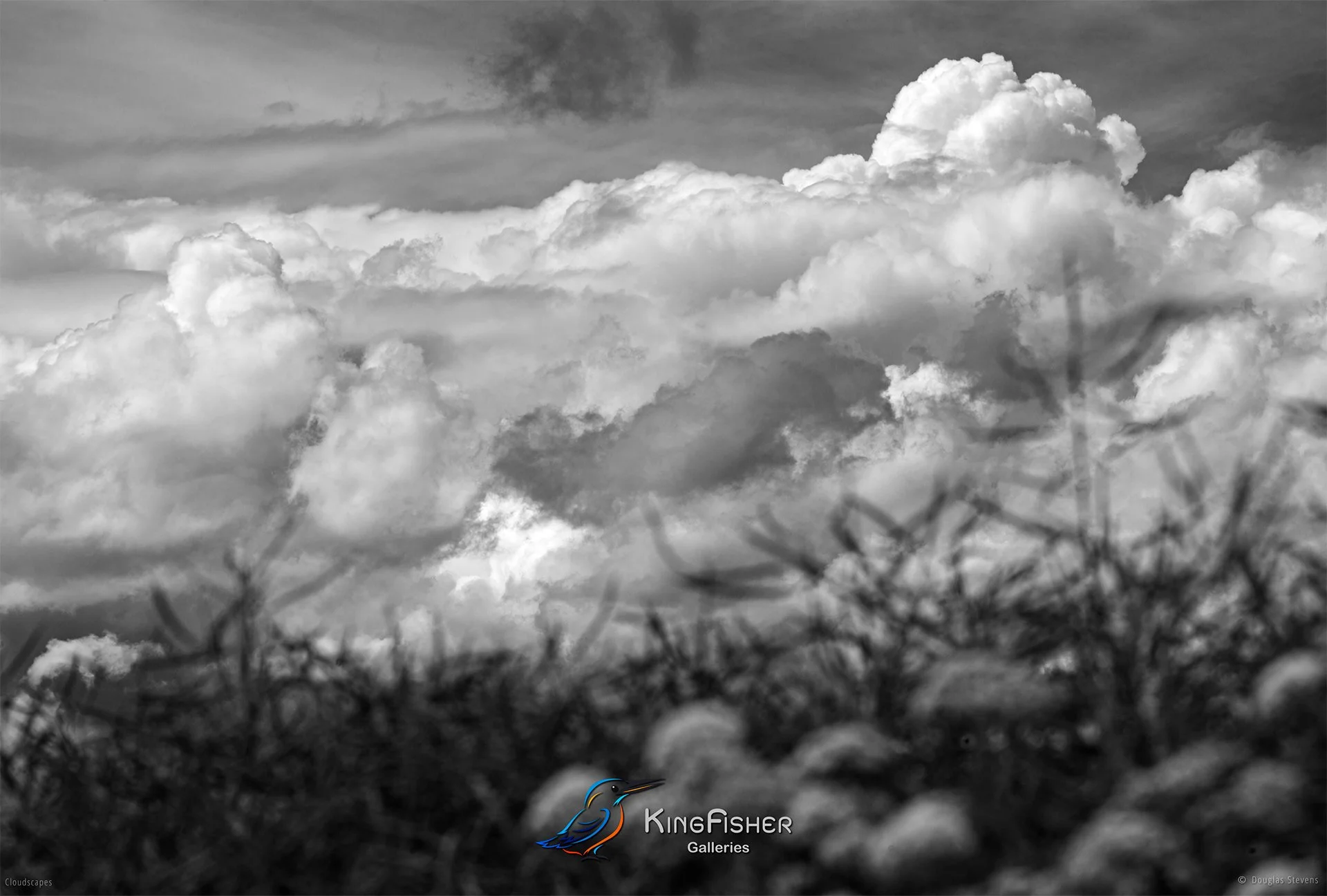 142_DST_Cloudscapes_2016_L_BW.jpg
