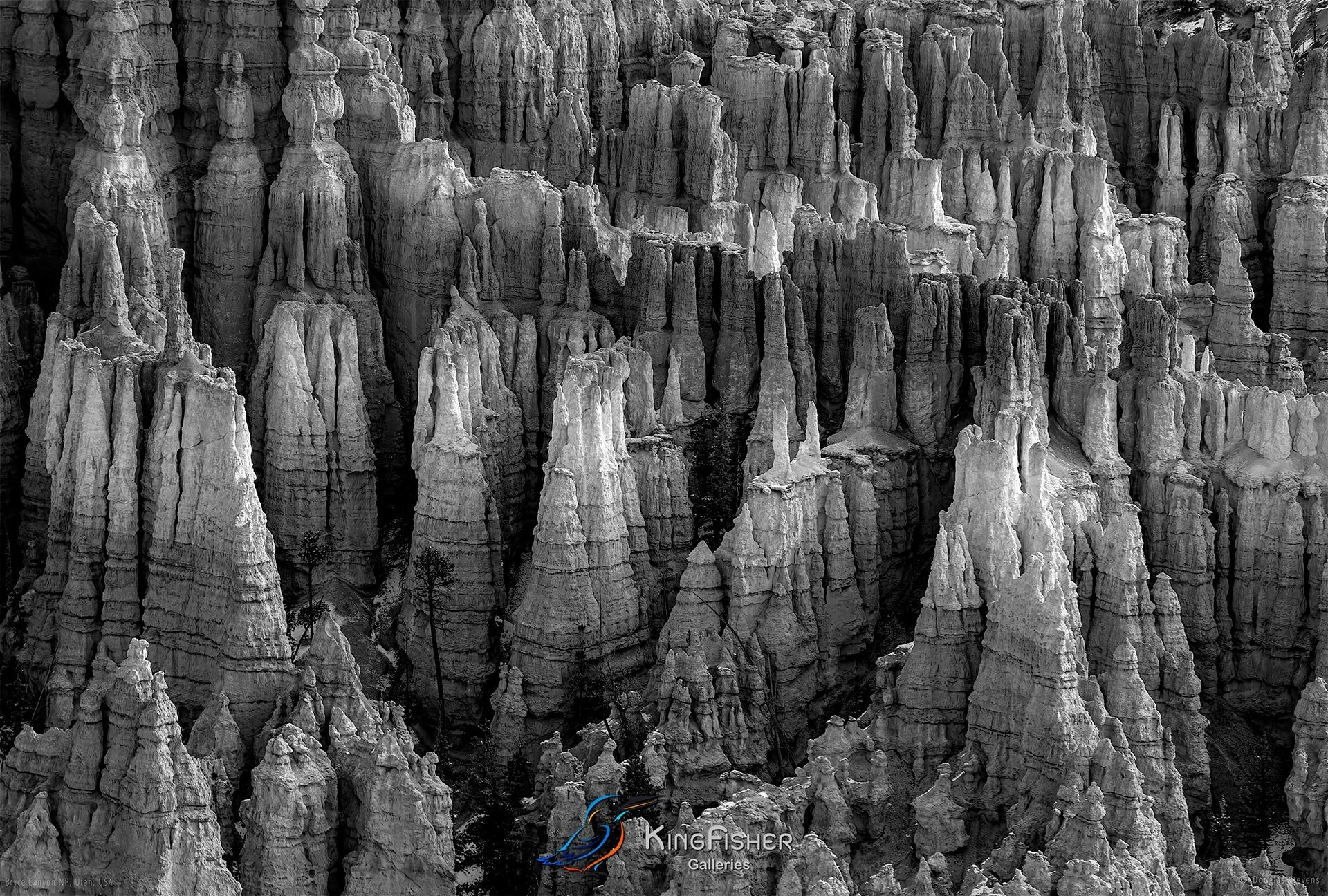 016_DST_Bryce_Canyon_NP_UT_USA_2012_L_BW.jpg