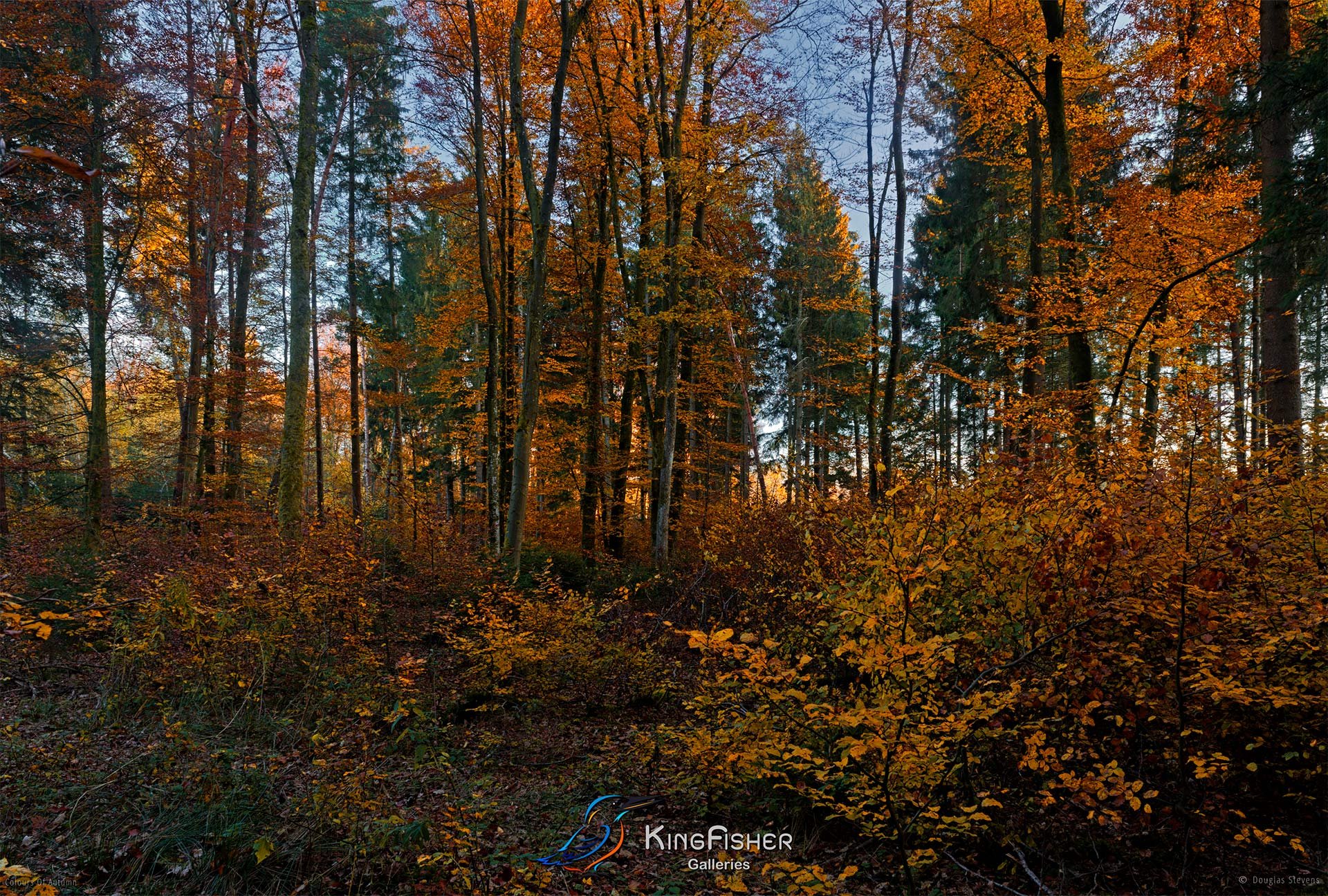049_DST_Colours_Of_Autumn_L.jpg
