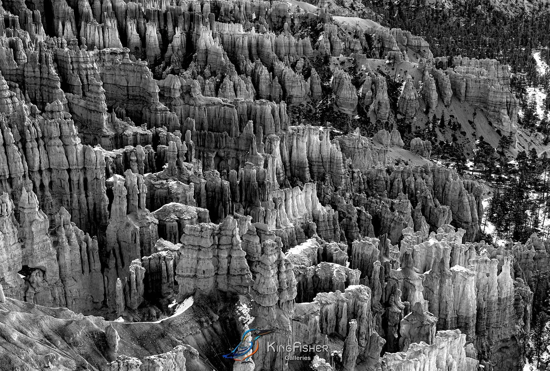 037_DST_Bryce_Canyon_NP_UT_USA_2012_L_BW.jpg
