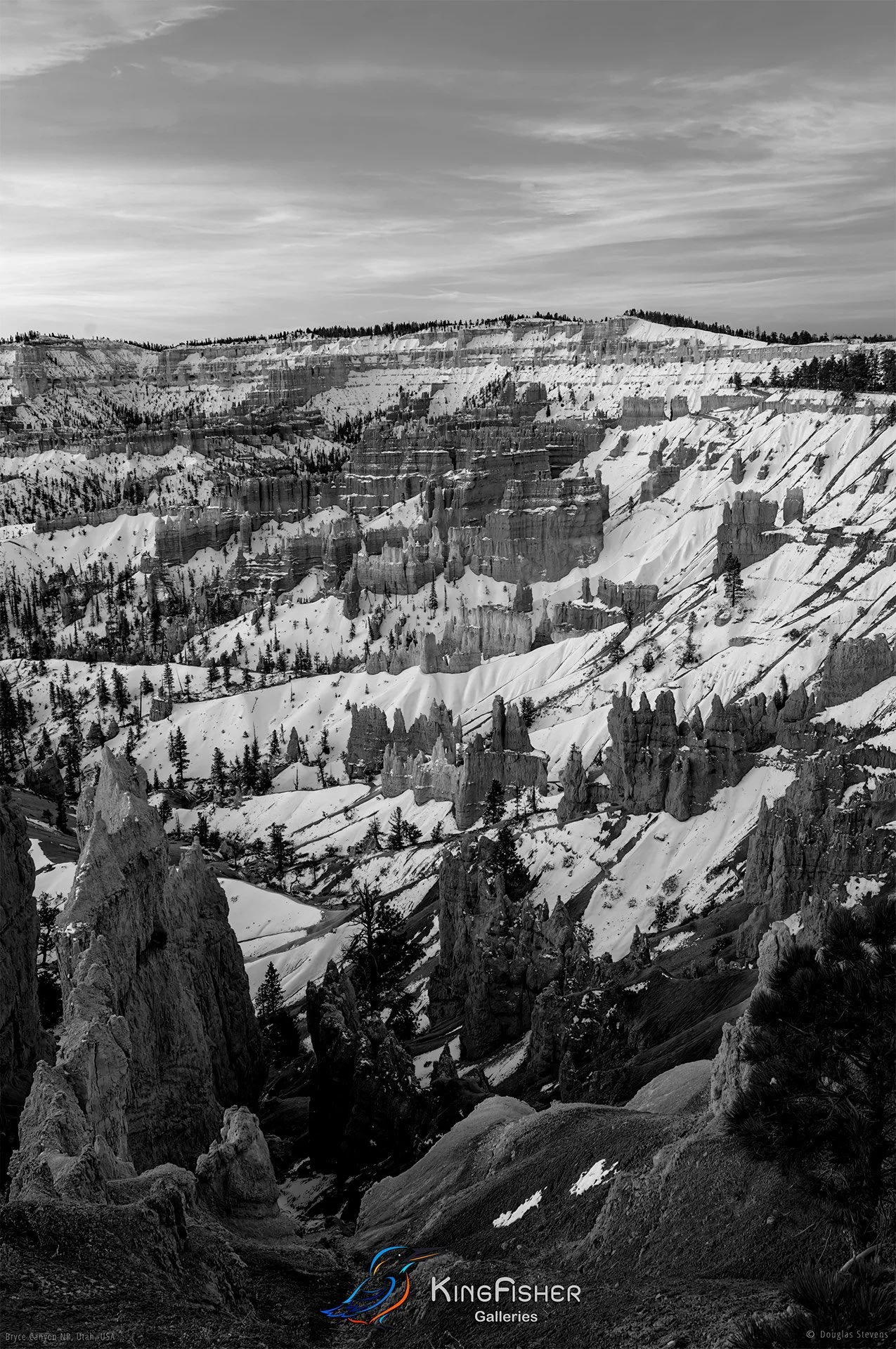 003_DST_Bryce_Canyon_NP_UT_USA_2012_P_BW.jpg