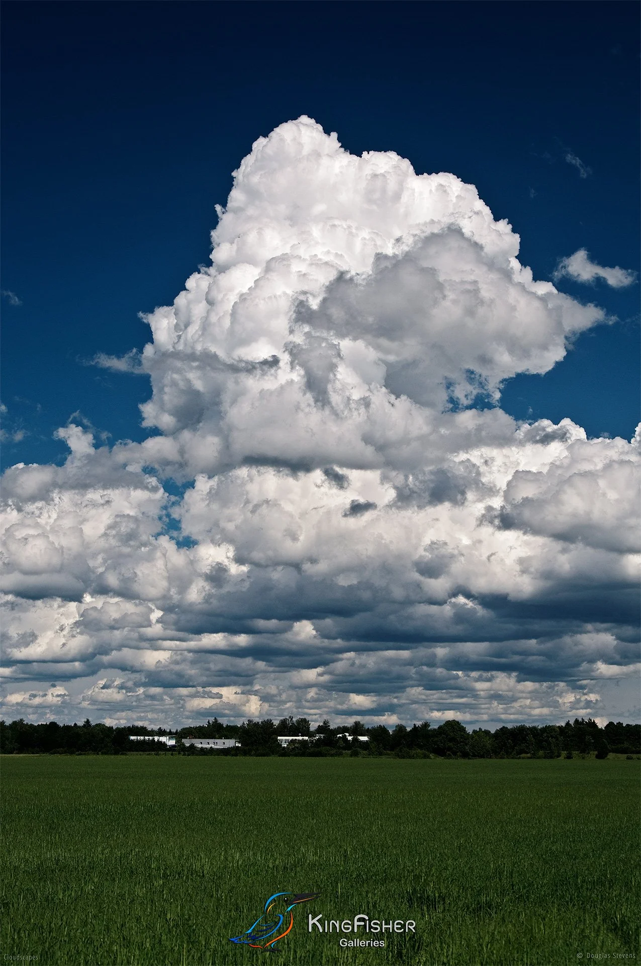 019_DST_Cloudscapes_2010_P.jpg