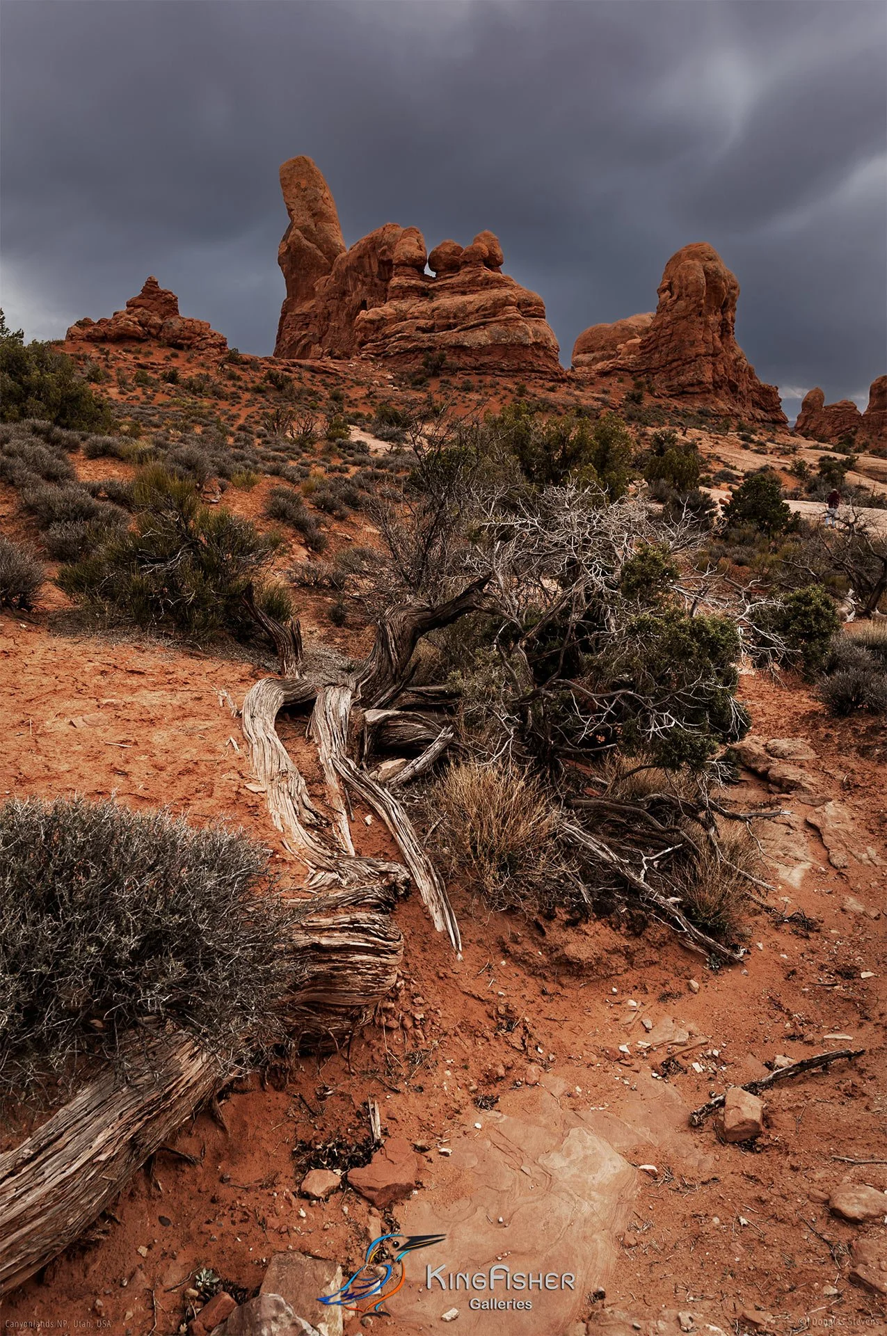 106_DST_Canyonlands_NP_UT_USA_2012_P.jpg