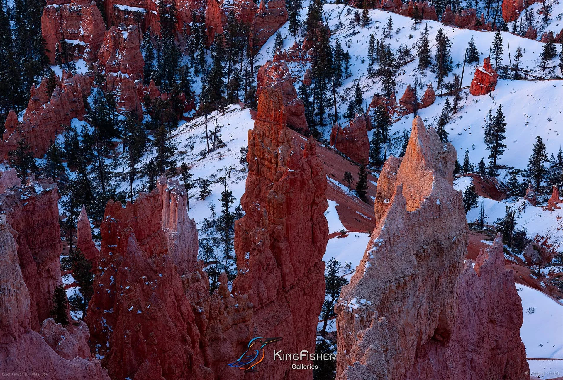 006_DST_Bryce_Canyon_NP_UT_USA_2012_L.jpg