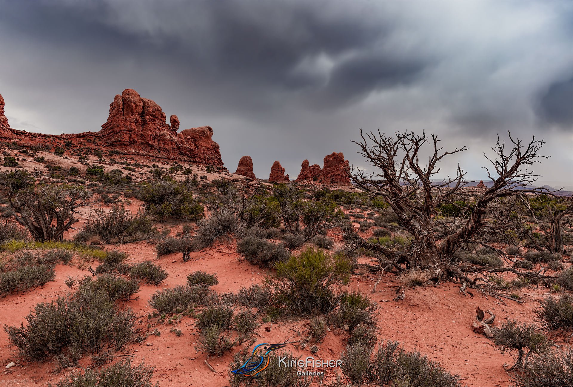 030_DST_Arches_NP_UT_USA_2012_L.jpg
