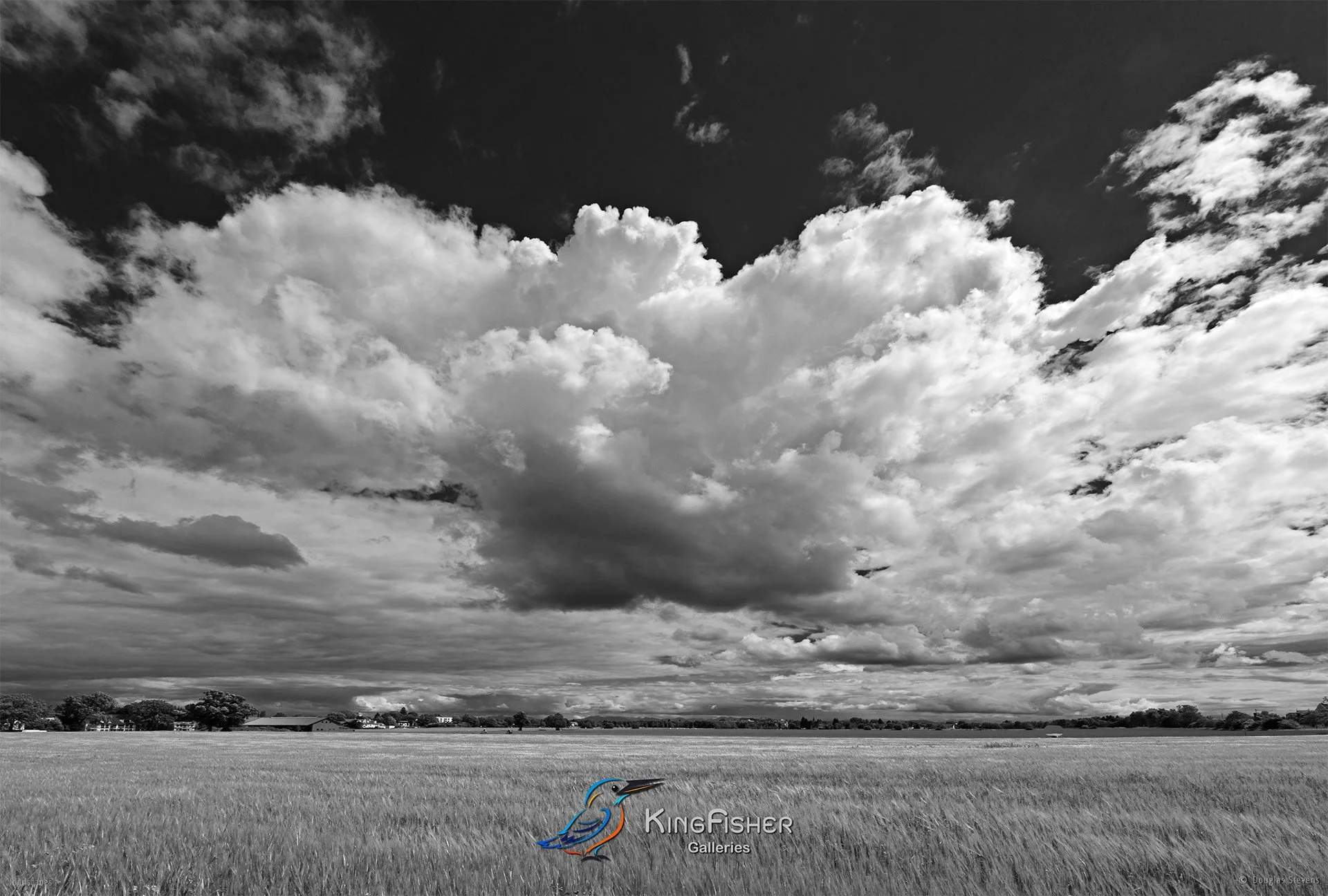 155_DST_Cloudscapes_2016_L_BW.jpg