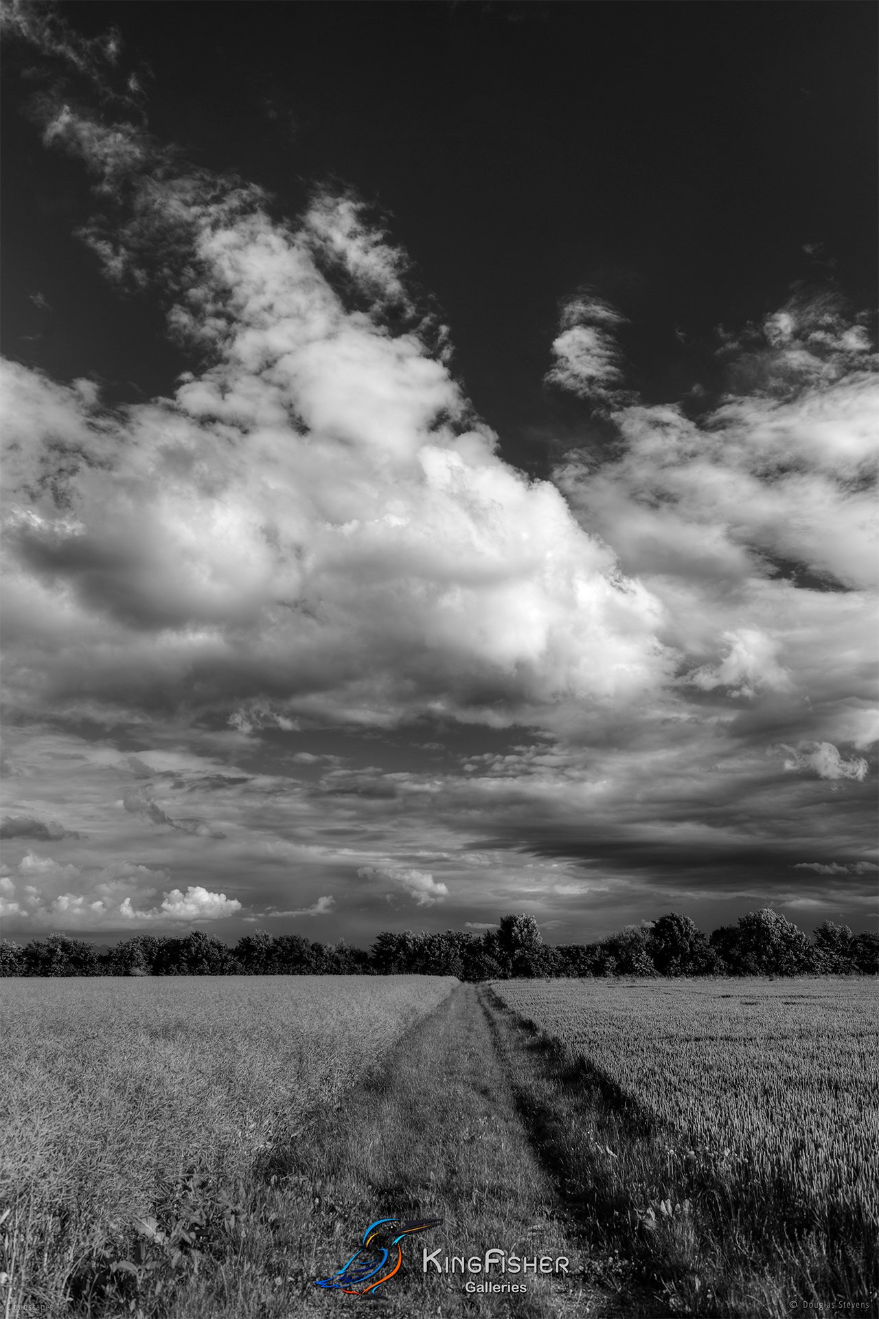 072_DST_Cloudscapes_2012_P_BW.jpg